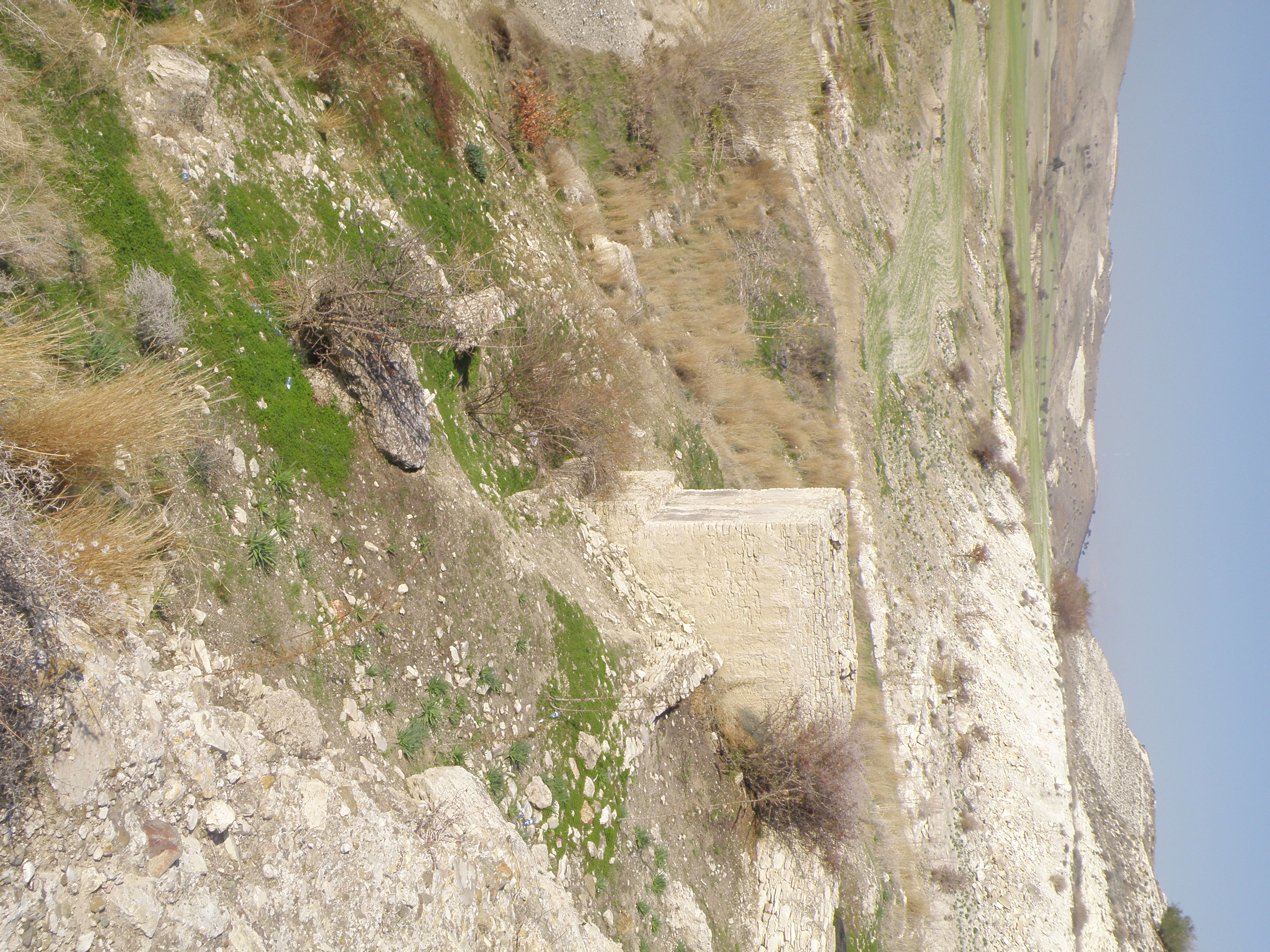 Image Description
