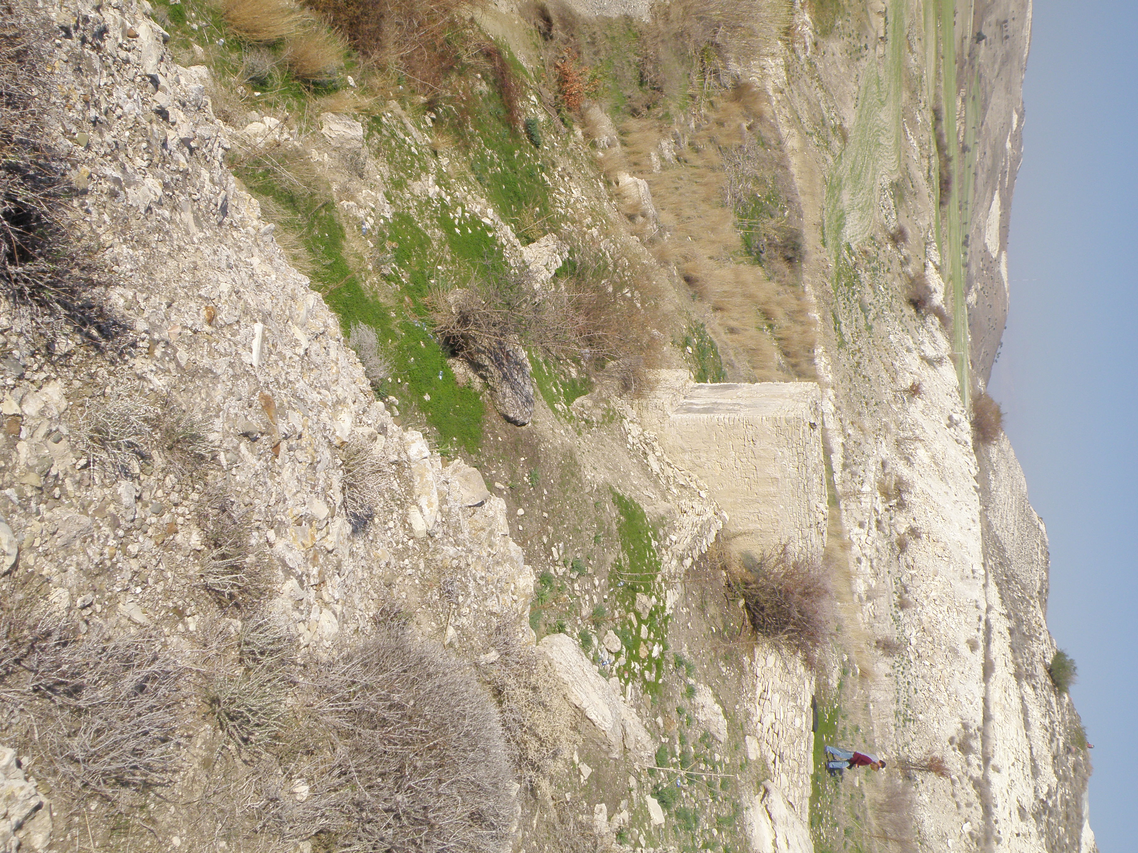 Image Description