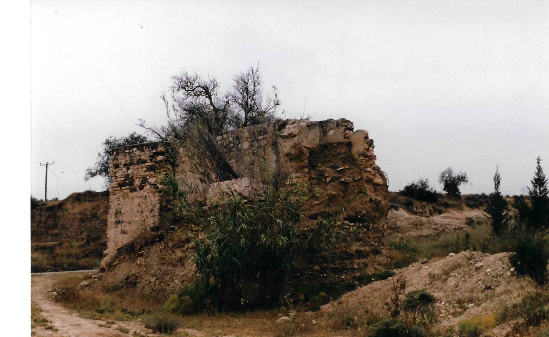 Image Description