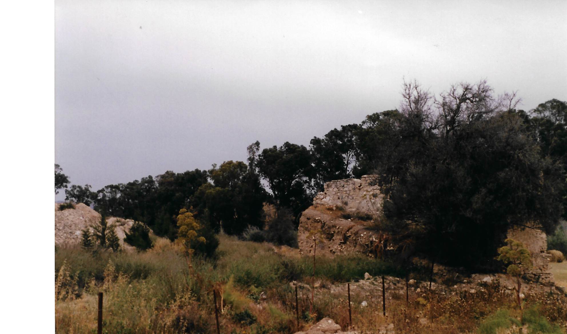 Image Description