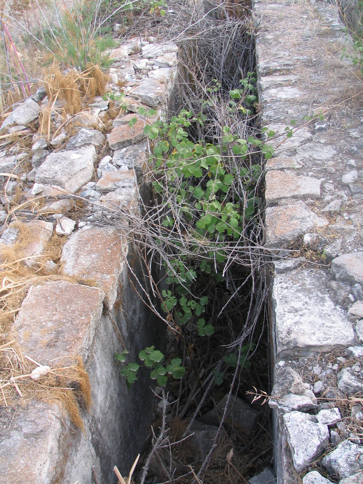 Image Description