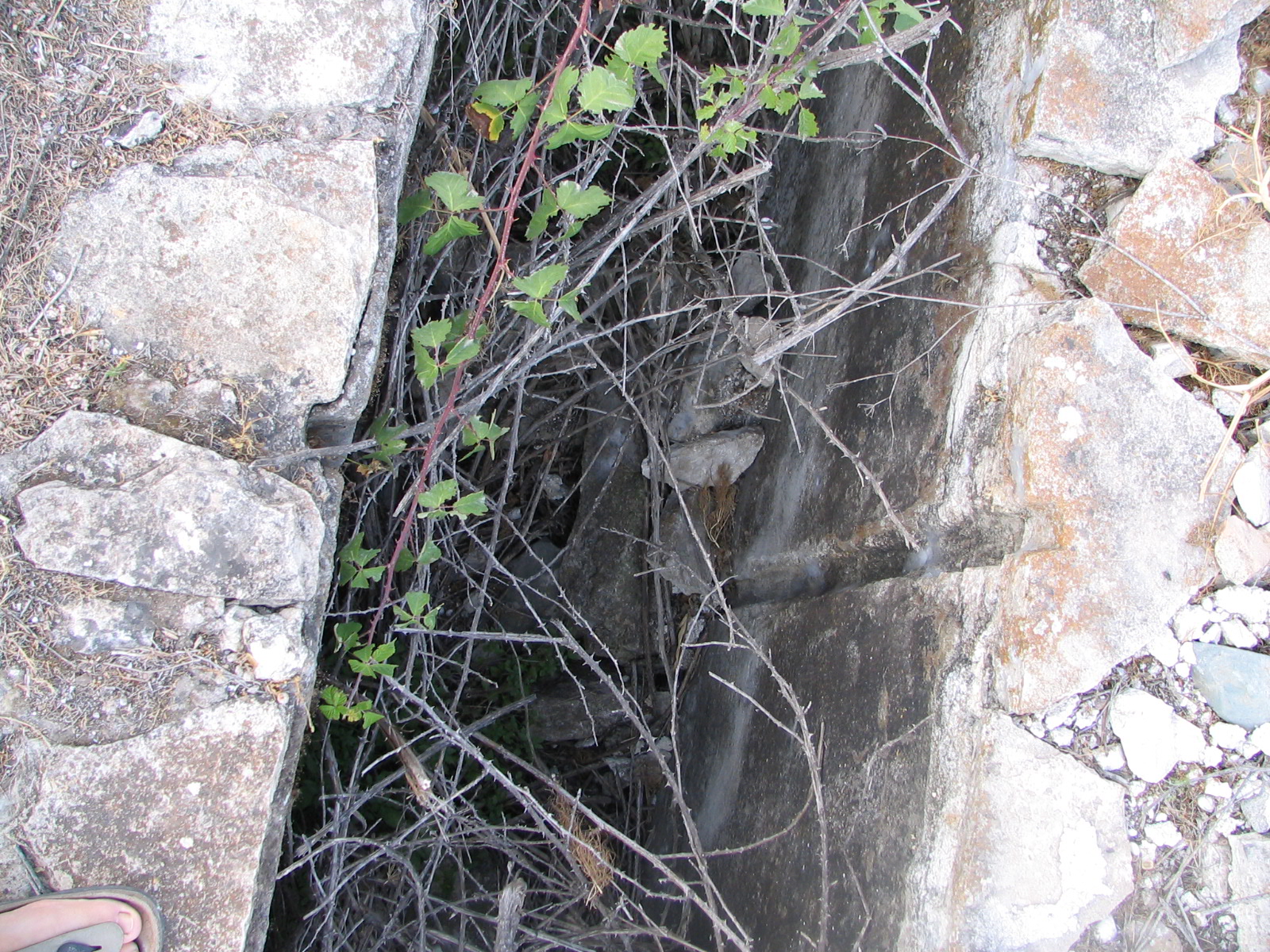 Image Description