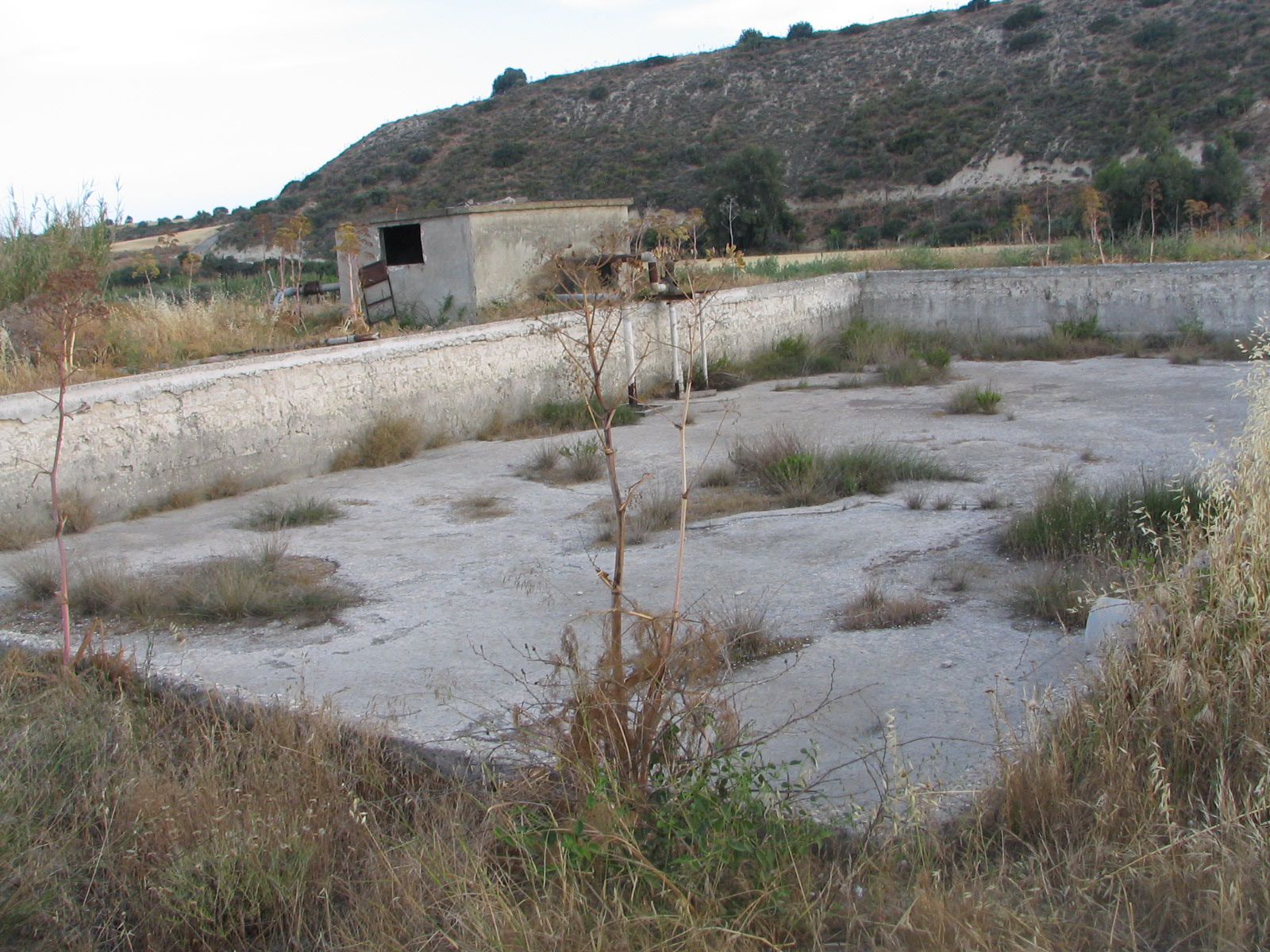 Image Description