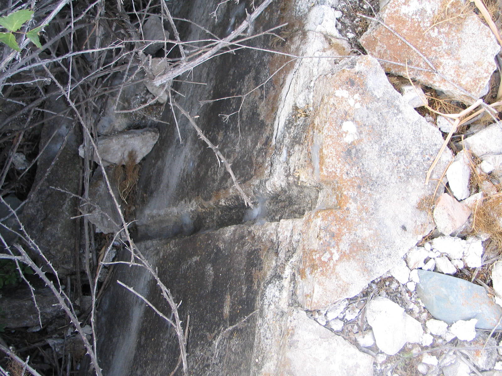Image Description