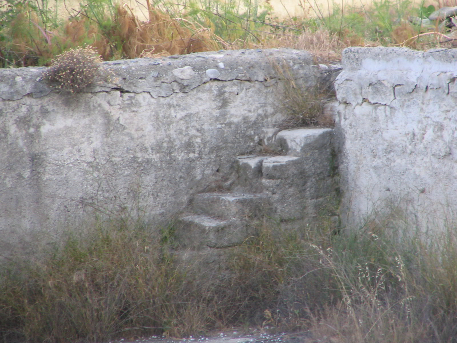 Image Description