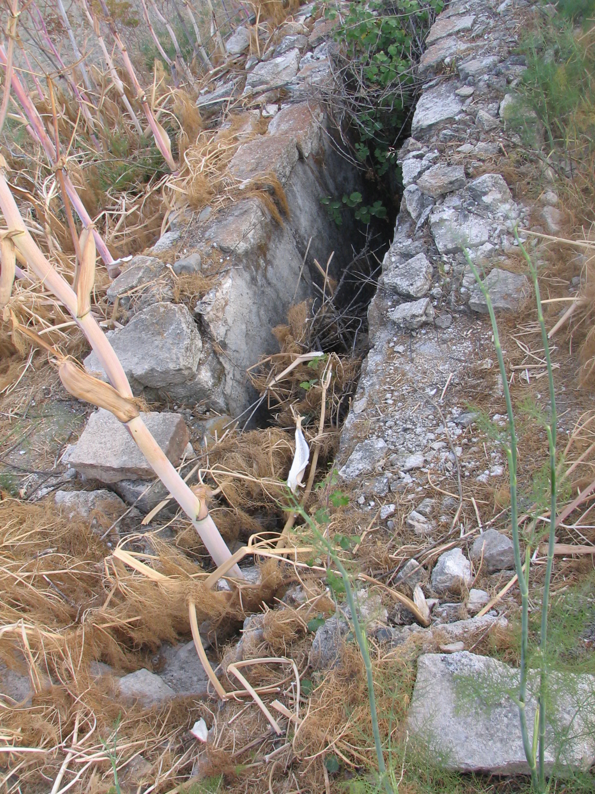 Image Description