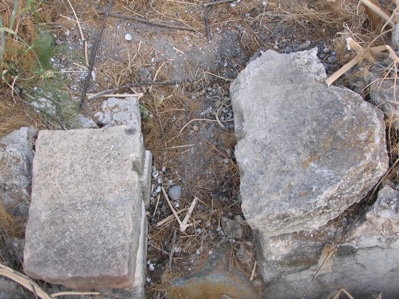 Image Description