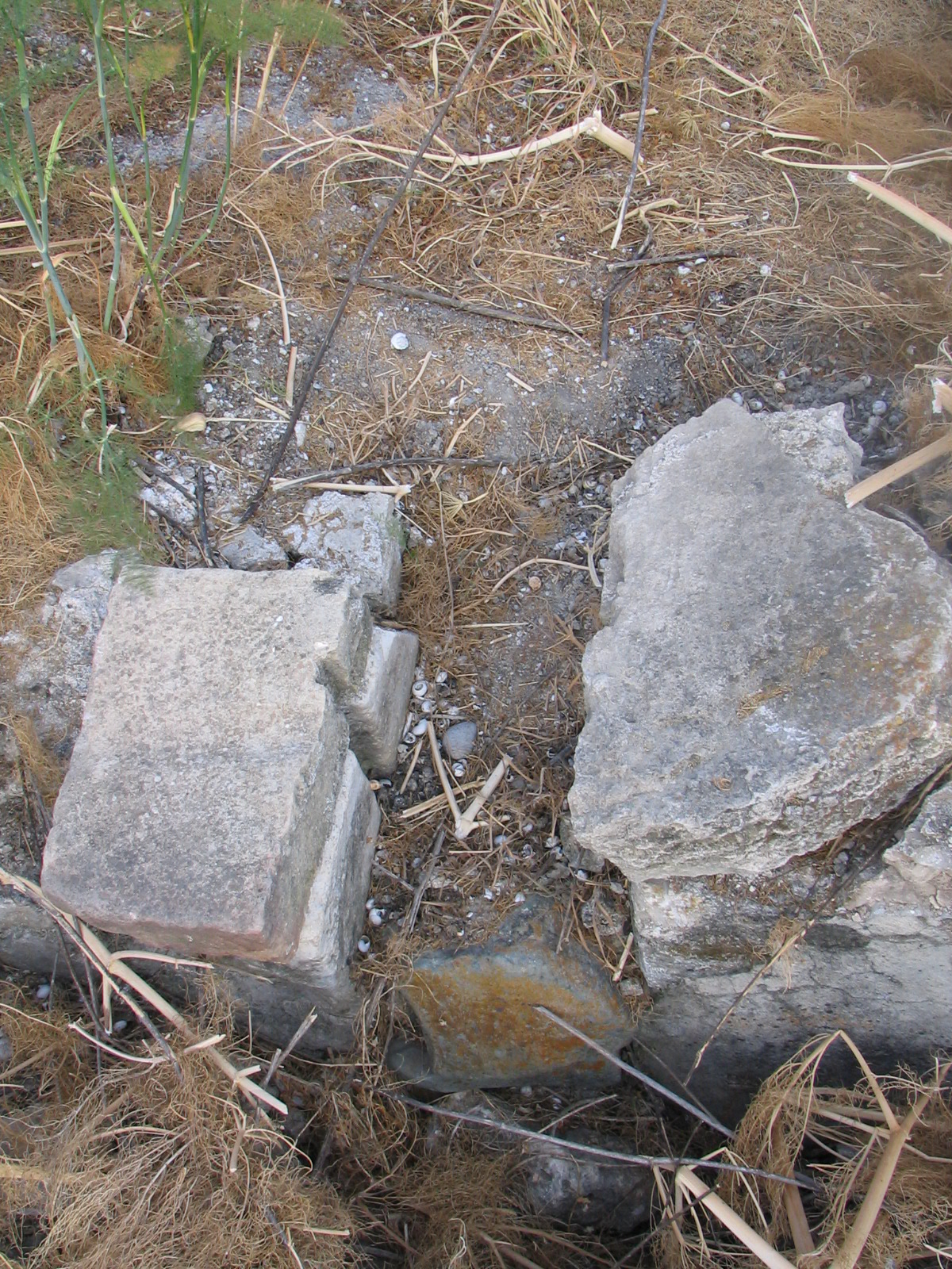 Image Description
