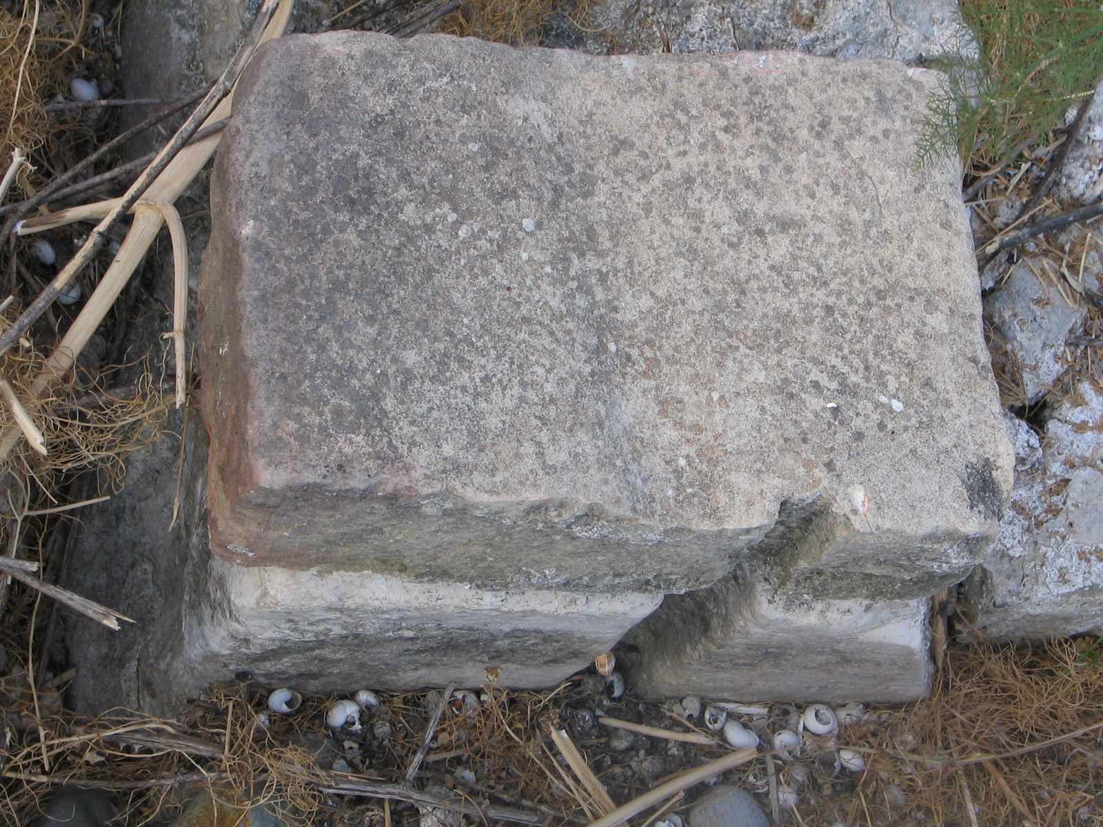 Image Description