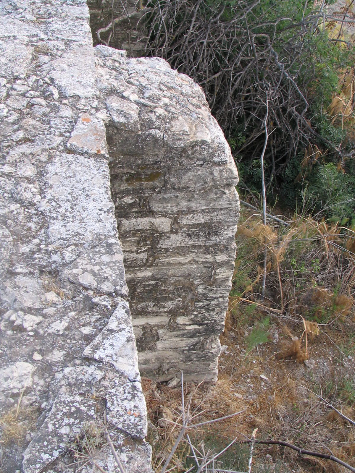 Image Description