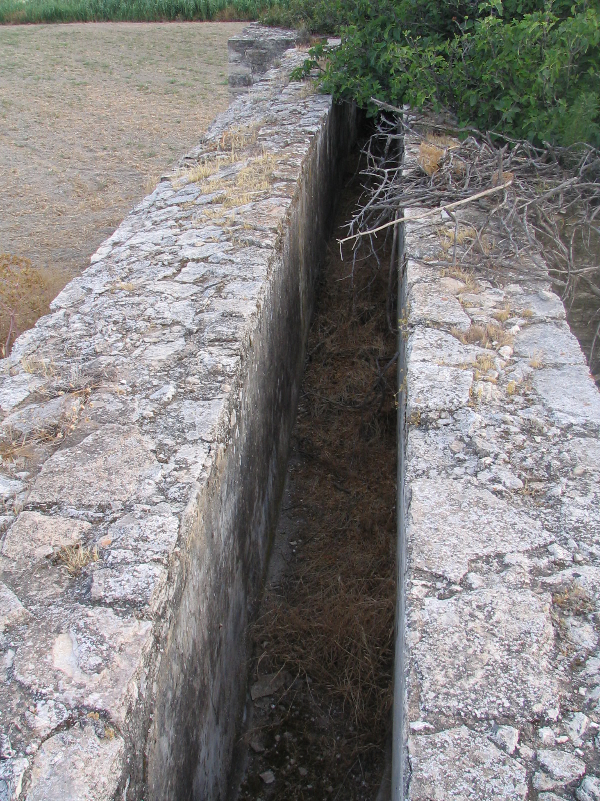 Image Description