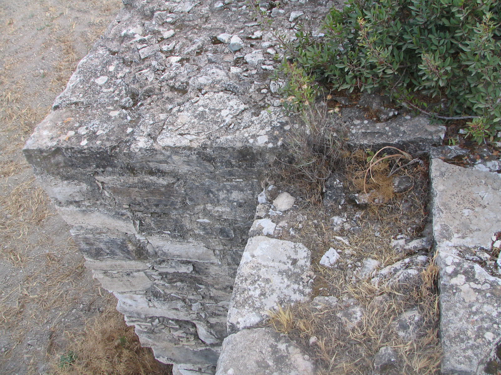 Image Description
