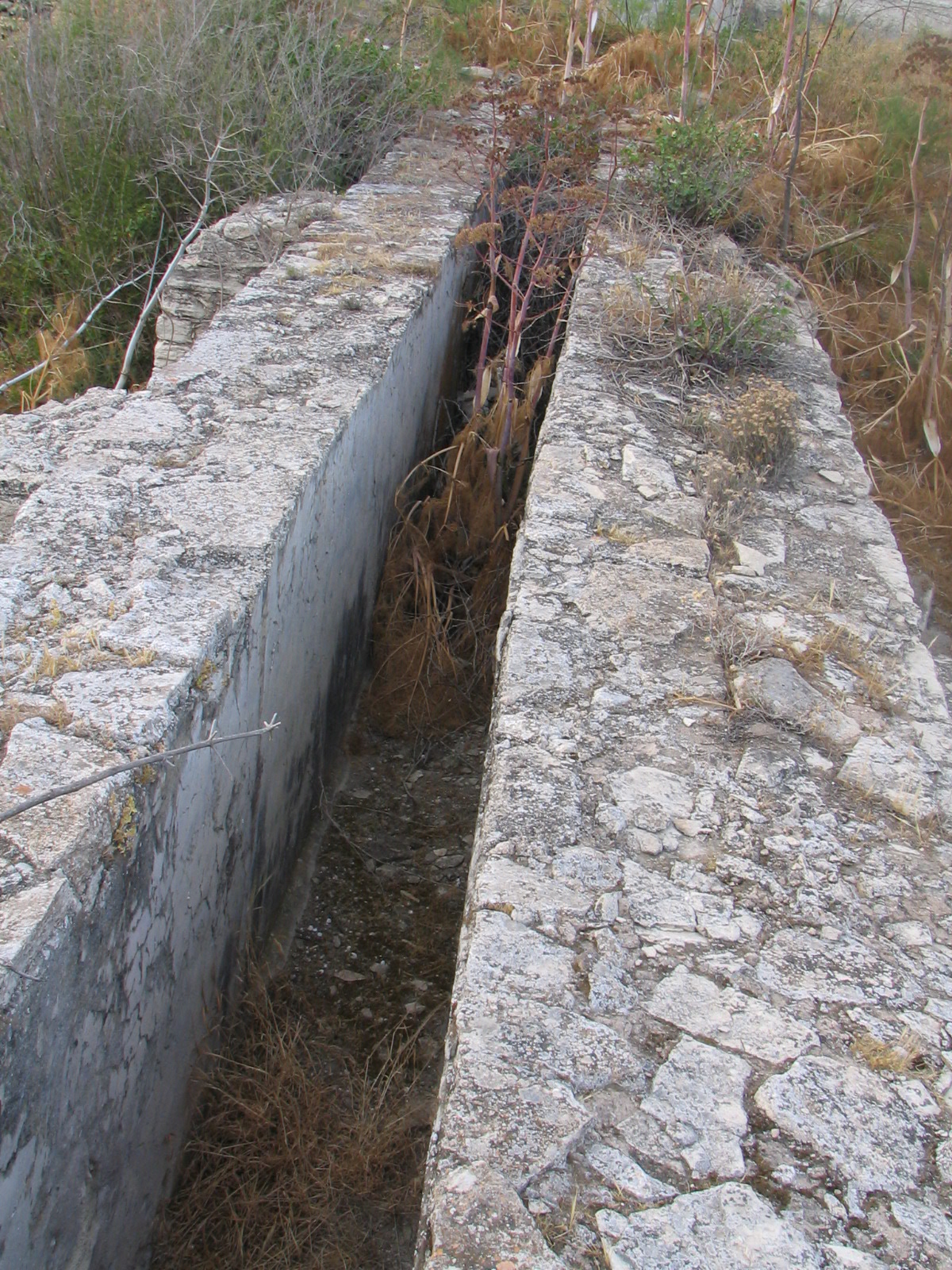 Image Description