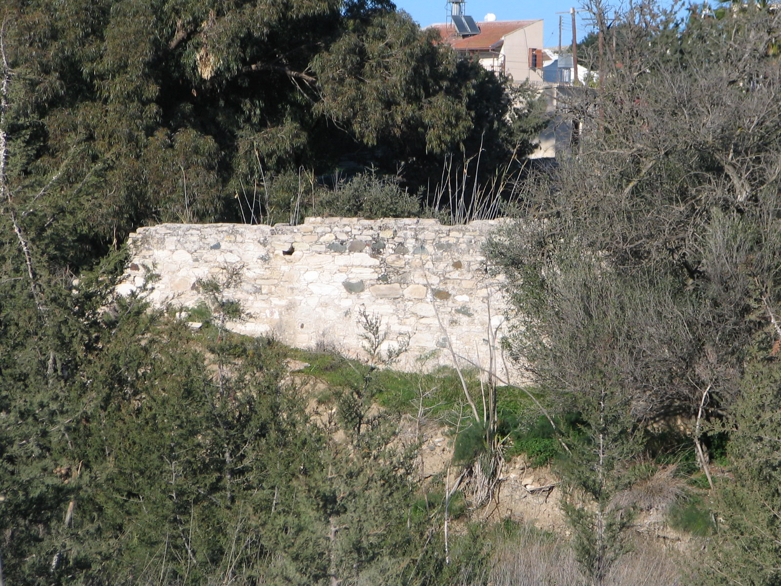Image Description