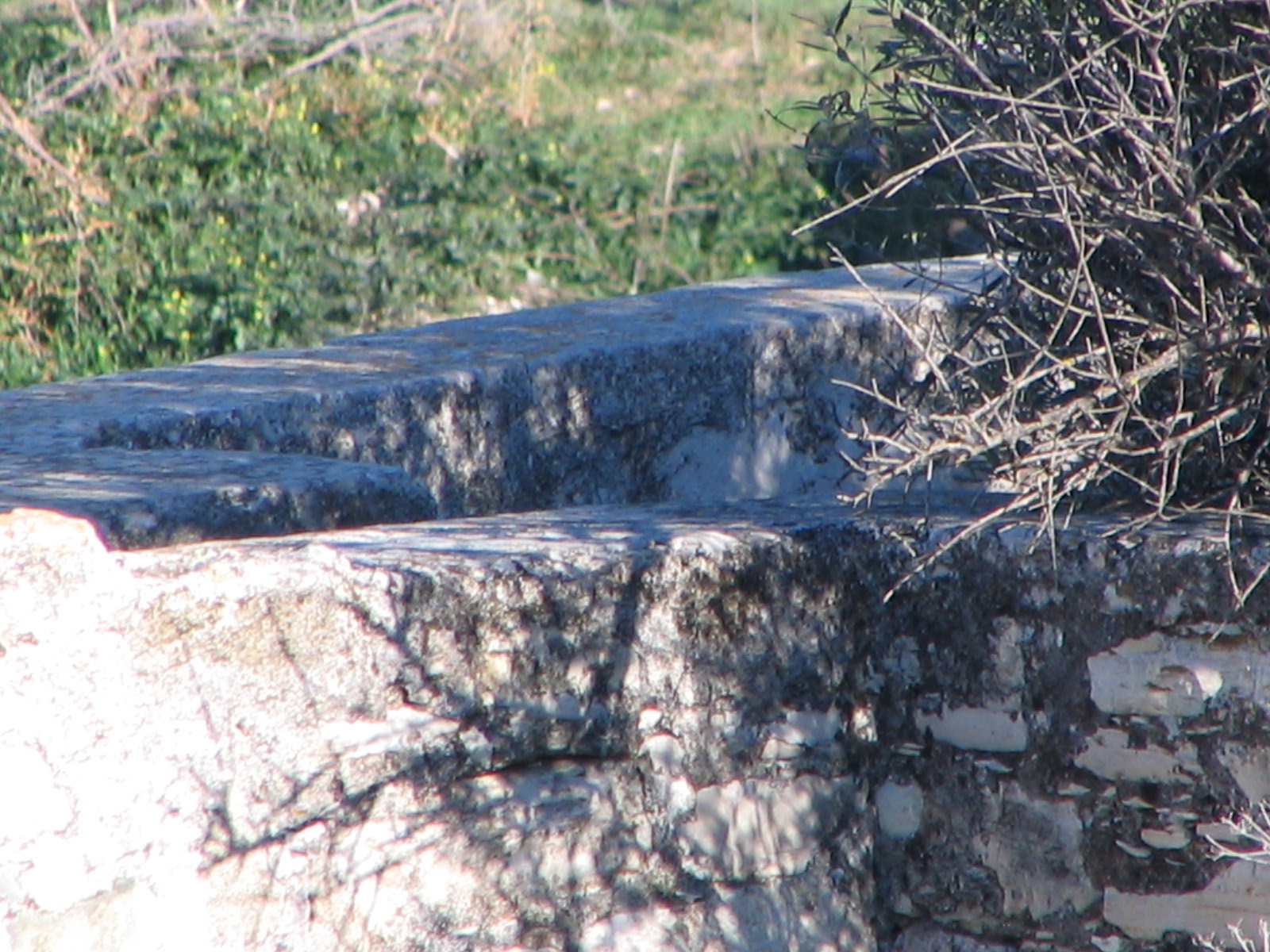 Image Description