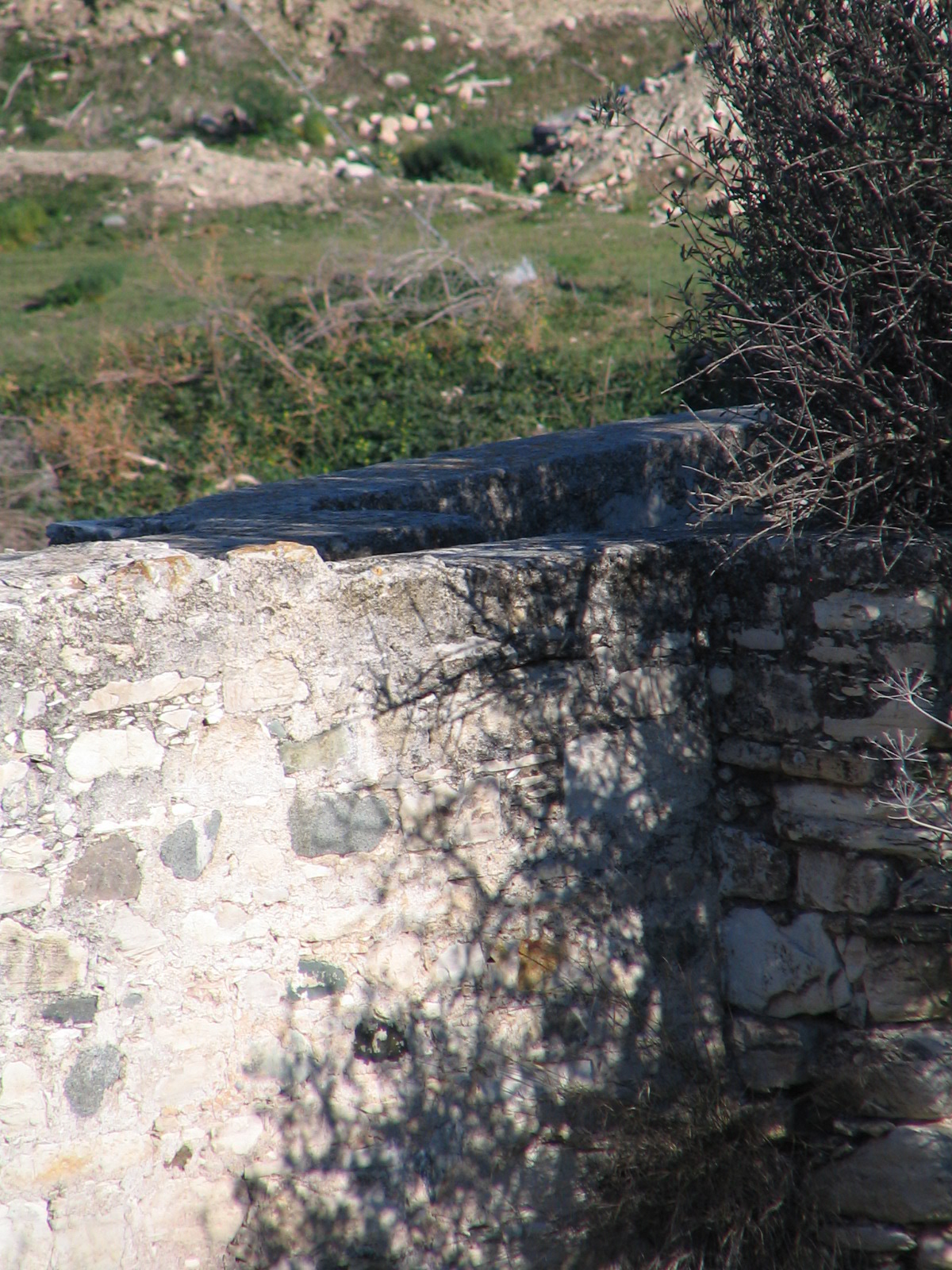 Image Description