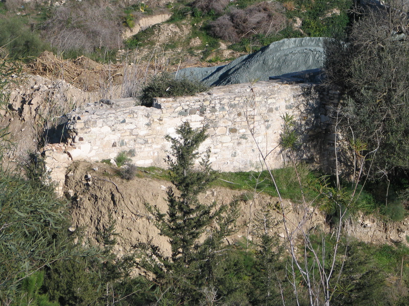 Image Description