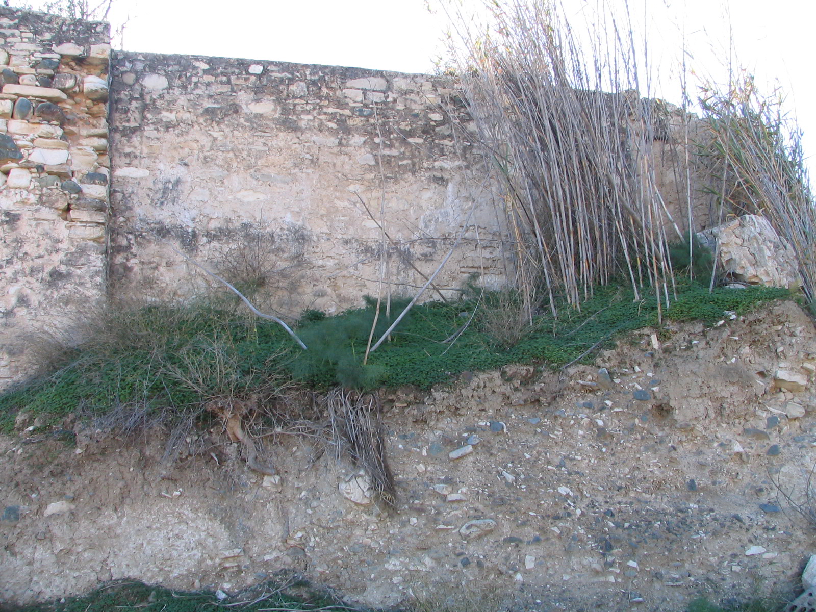 Image Description