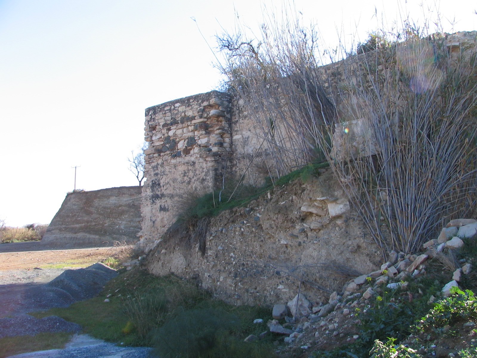 Image Description
