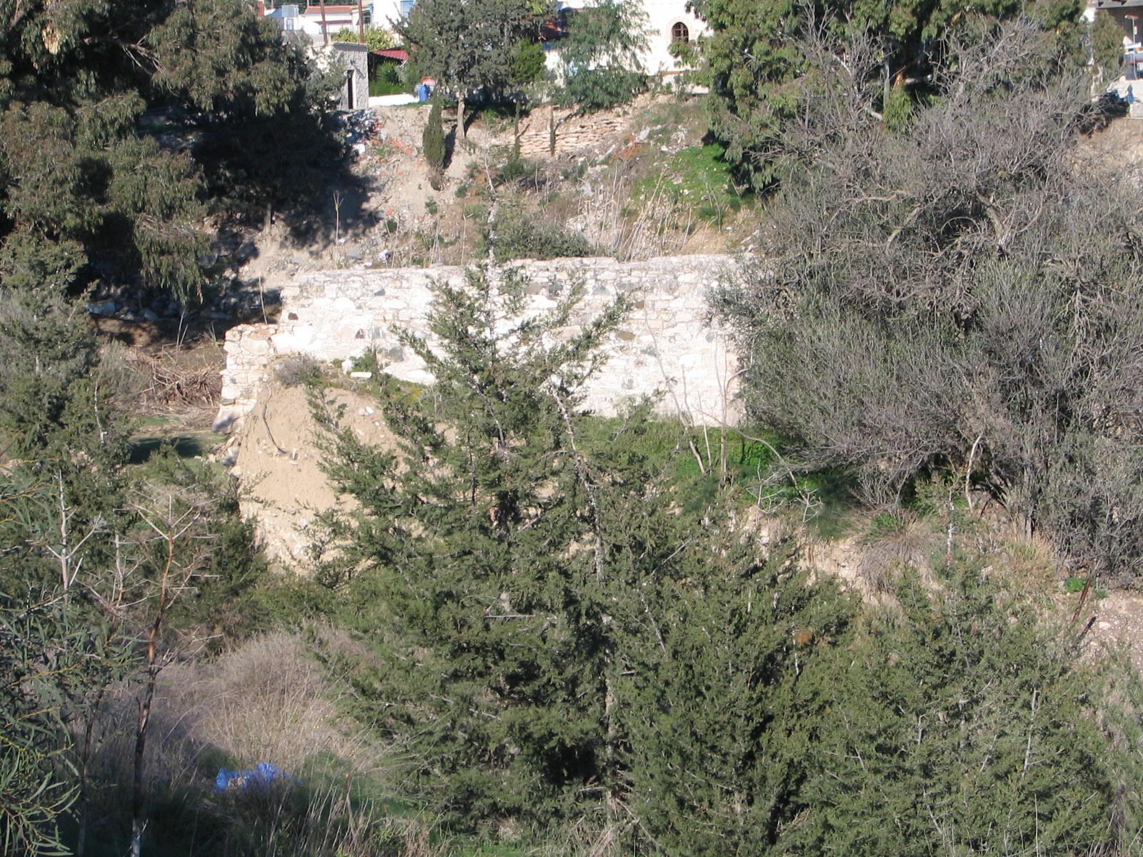 Image Description