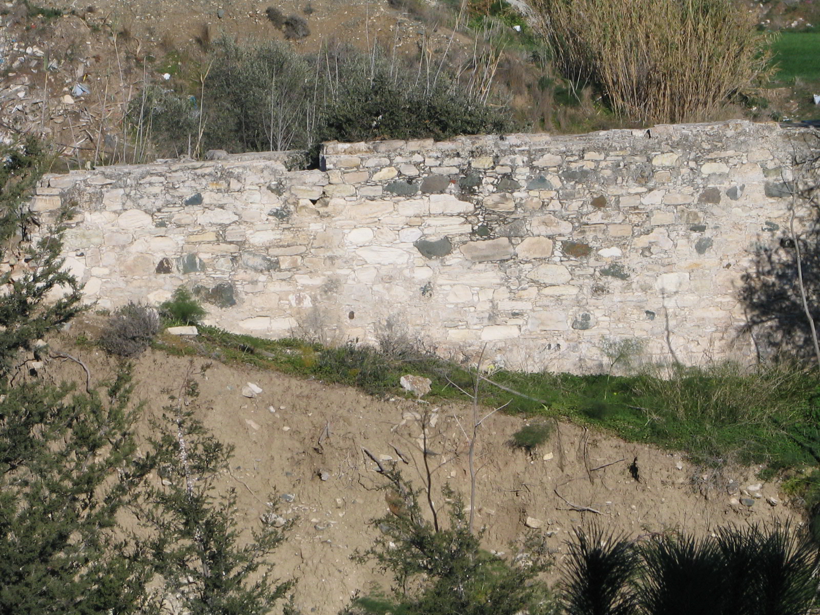 Image Description