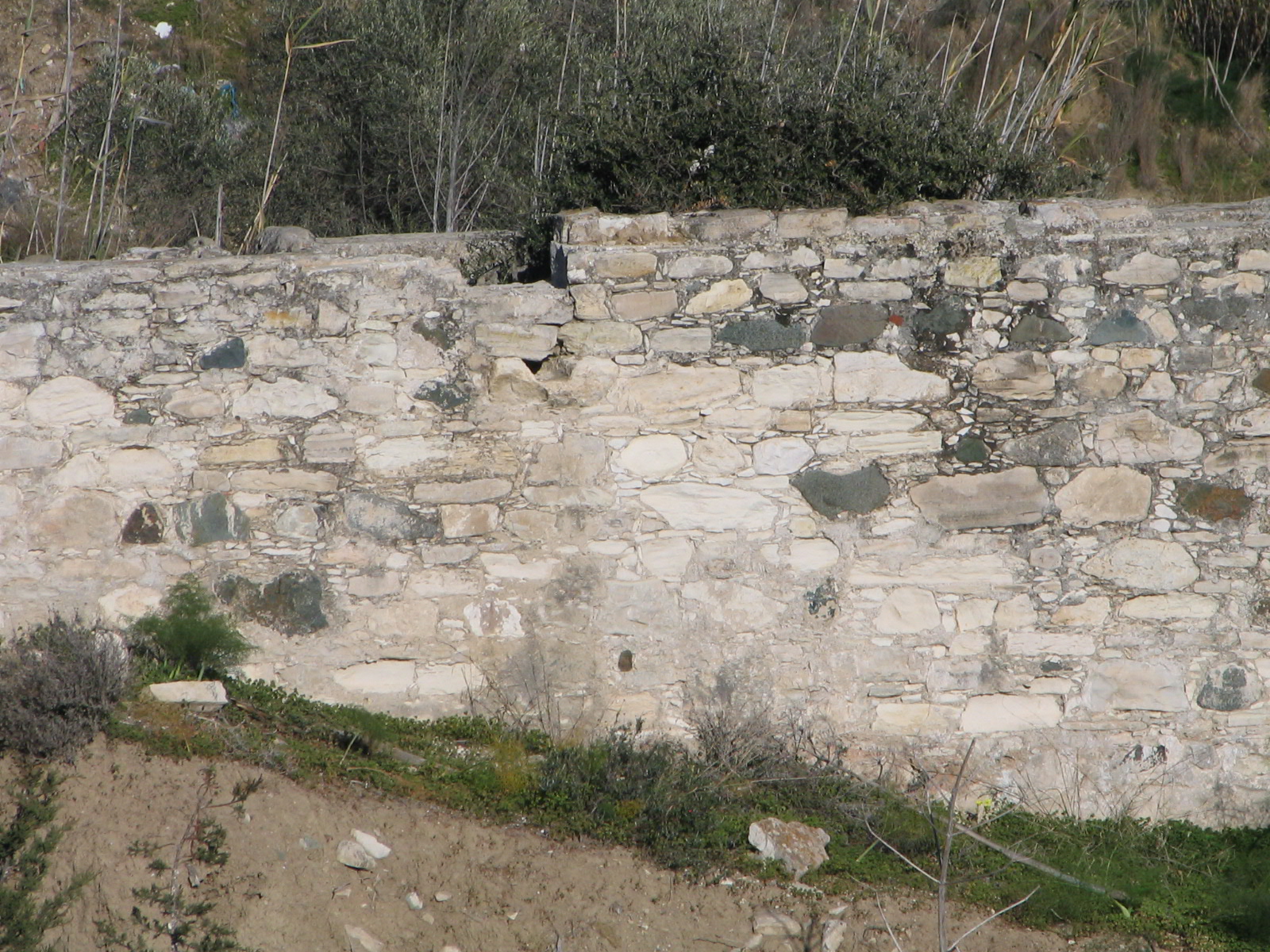 Image Description