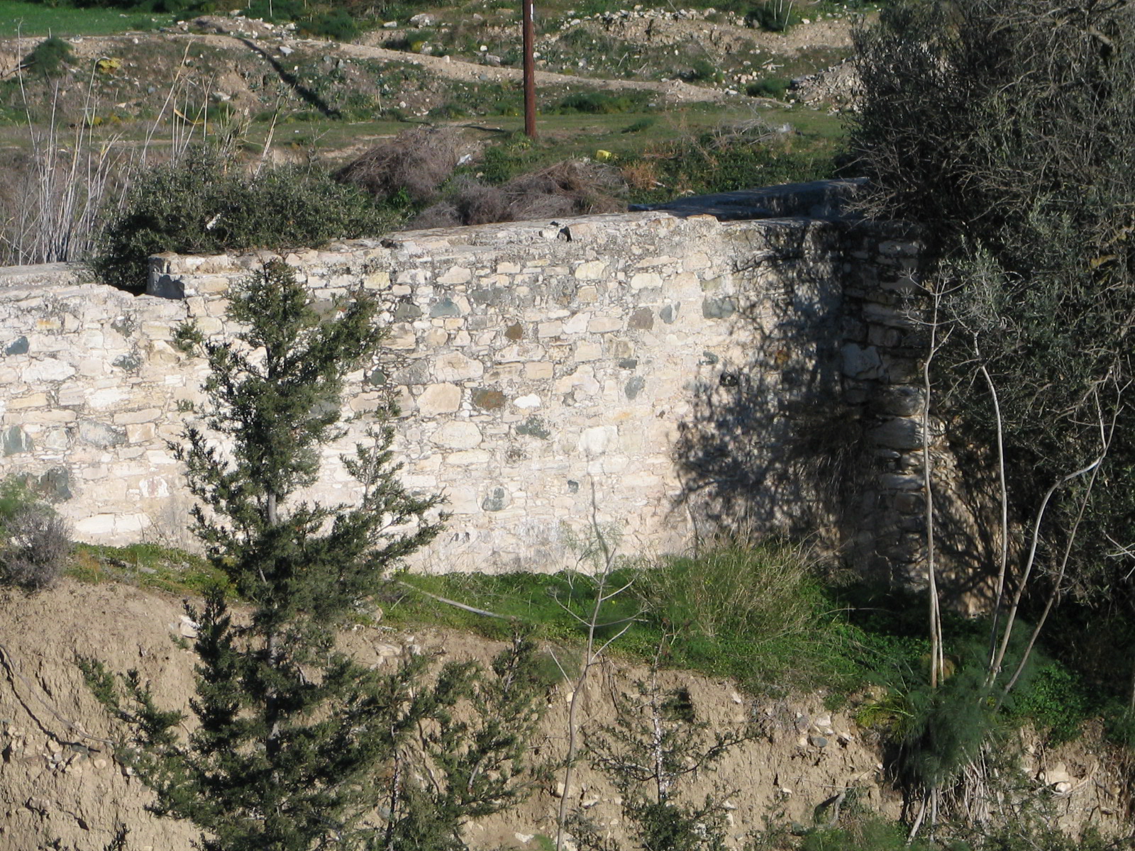 Image Description