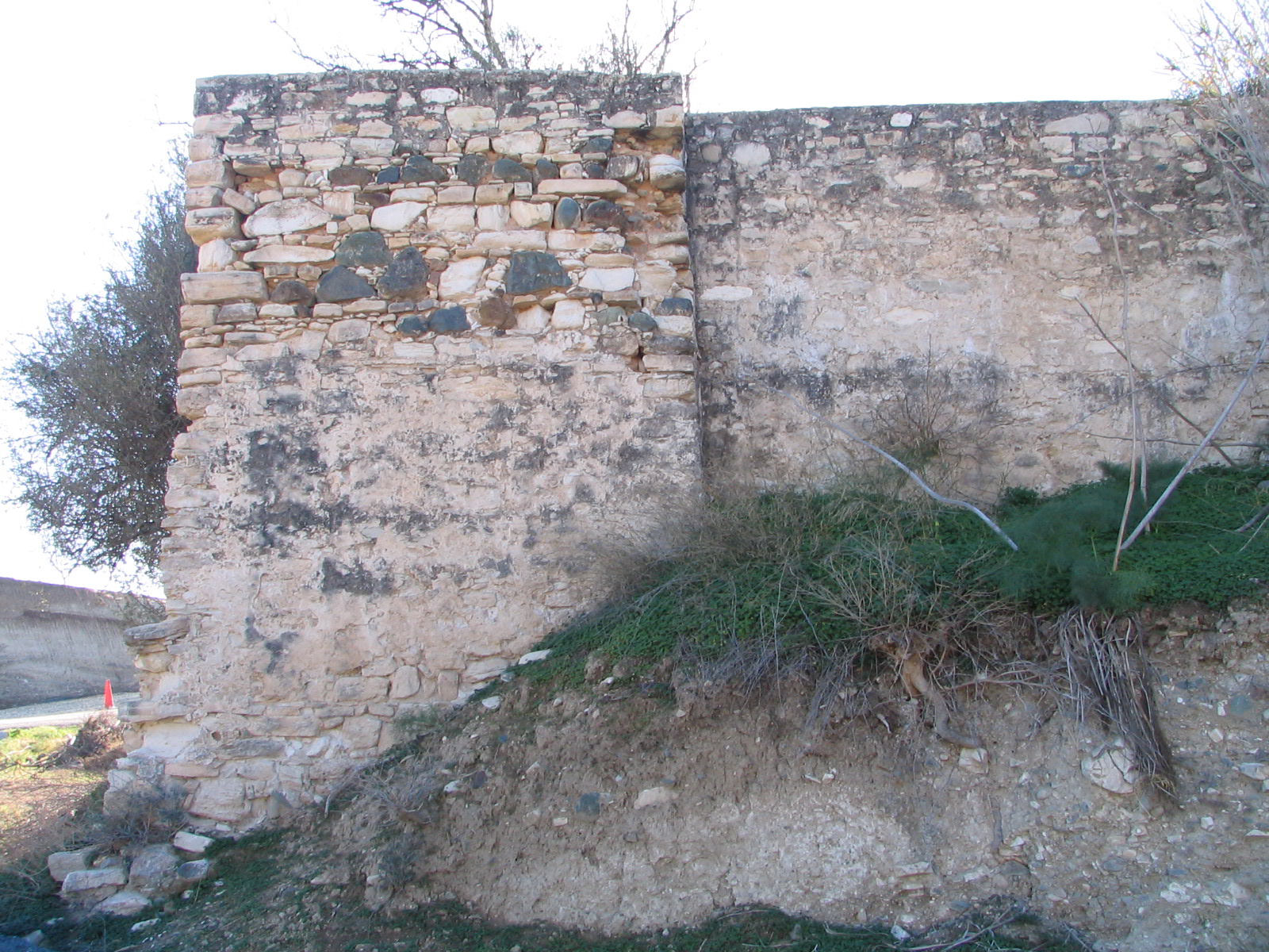 Image Description