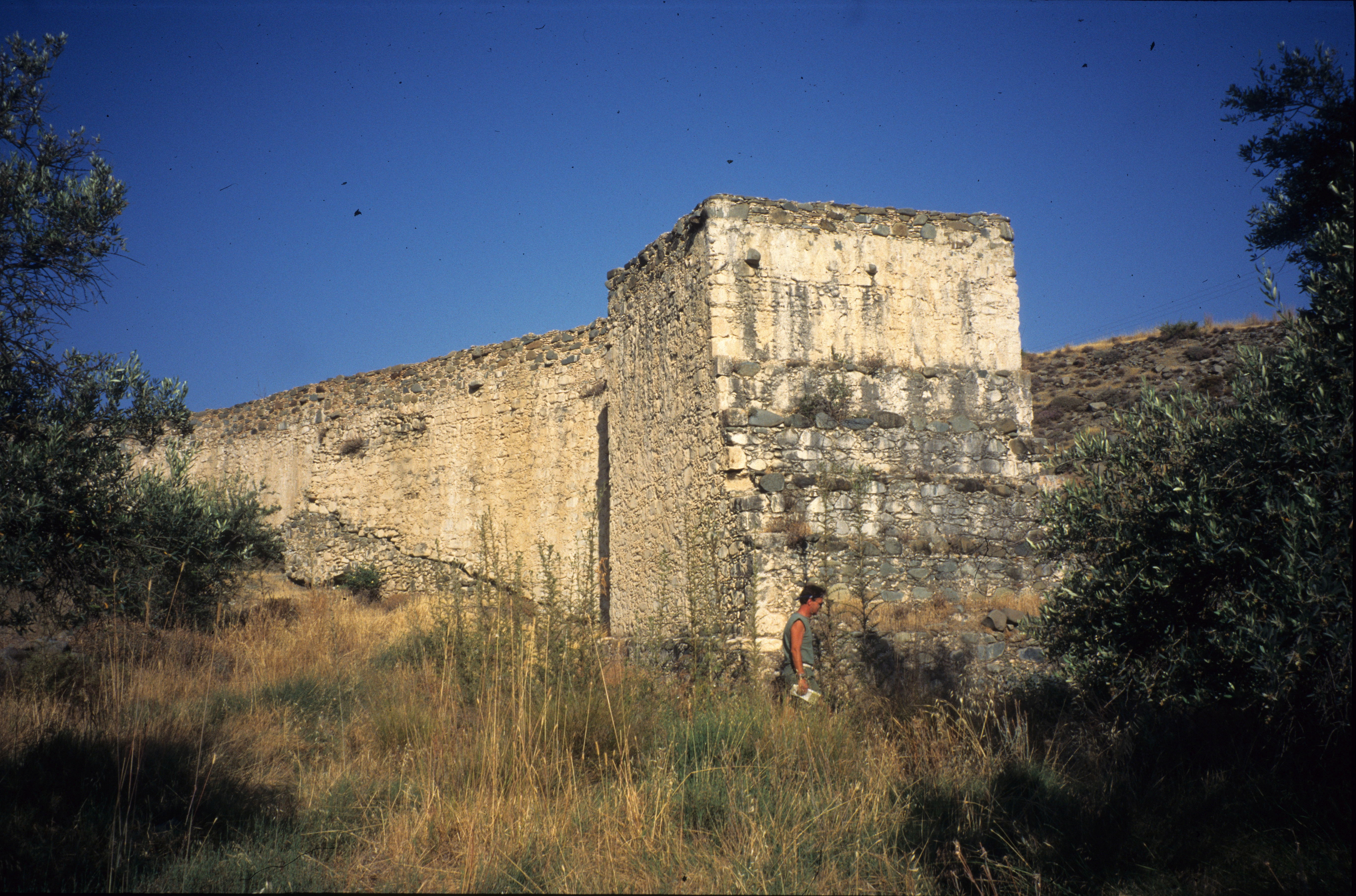Image Description