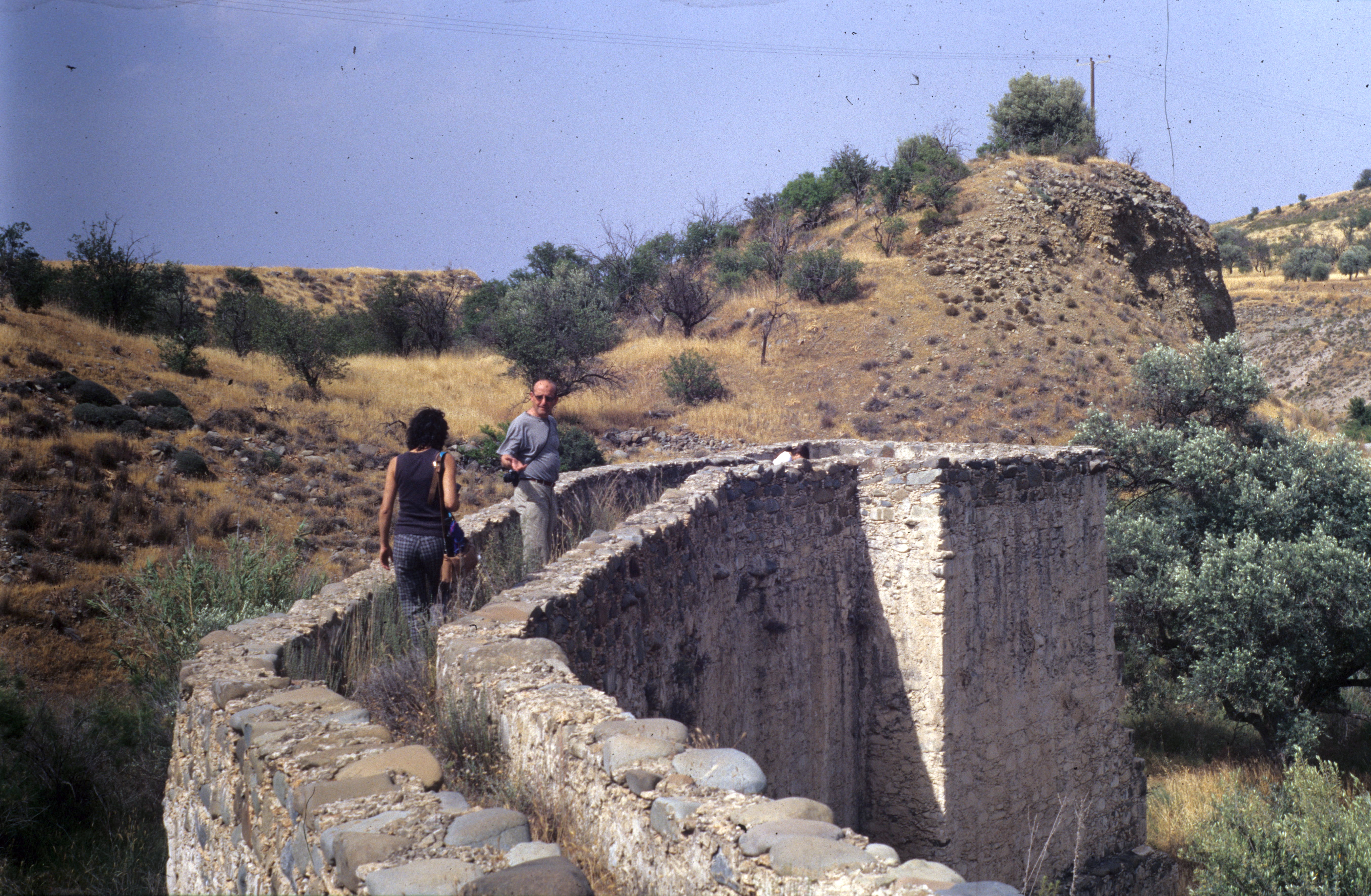 Image Description