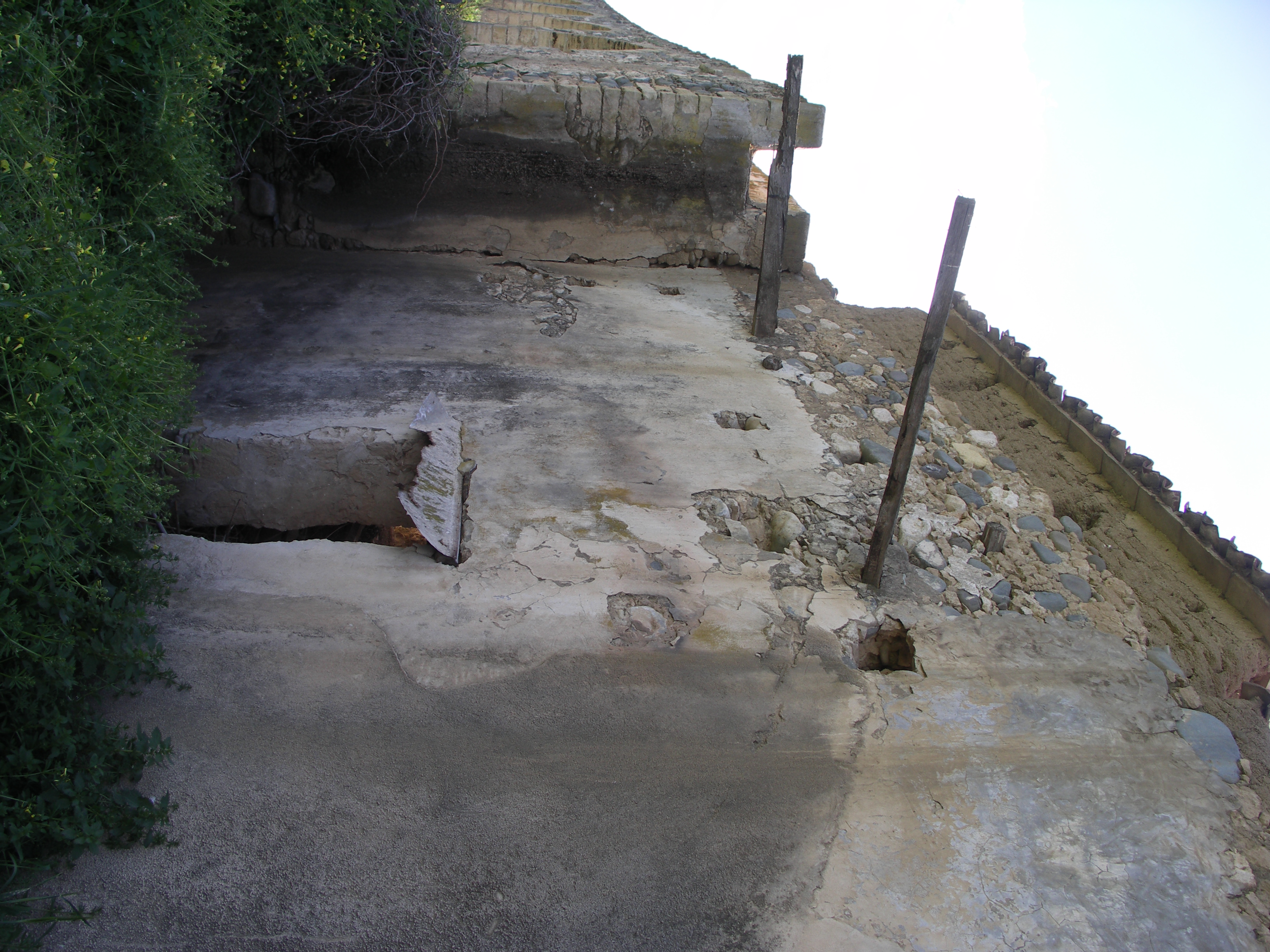 Image Description