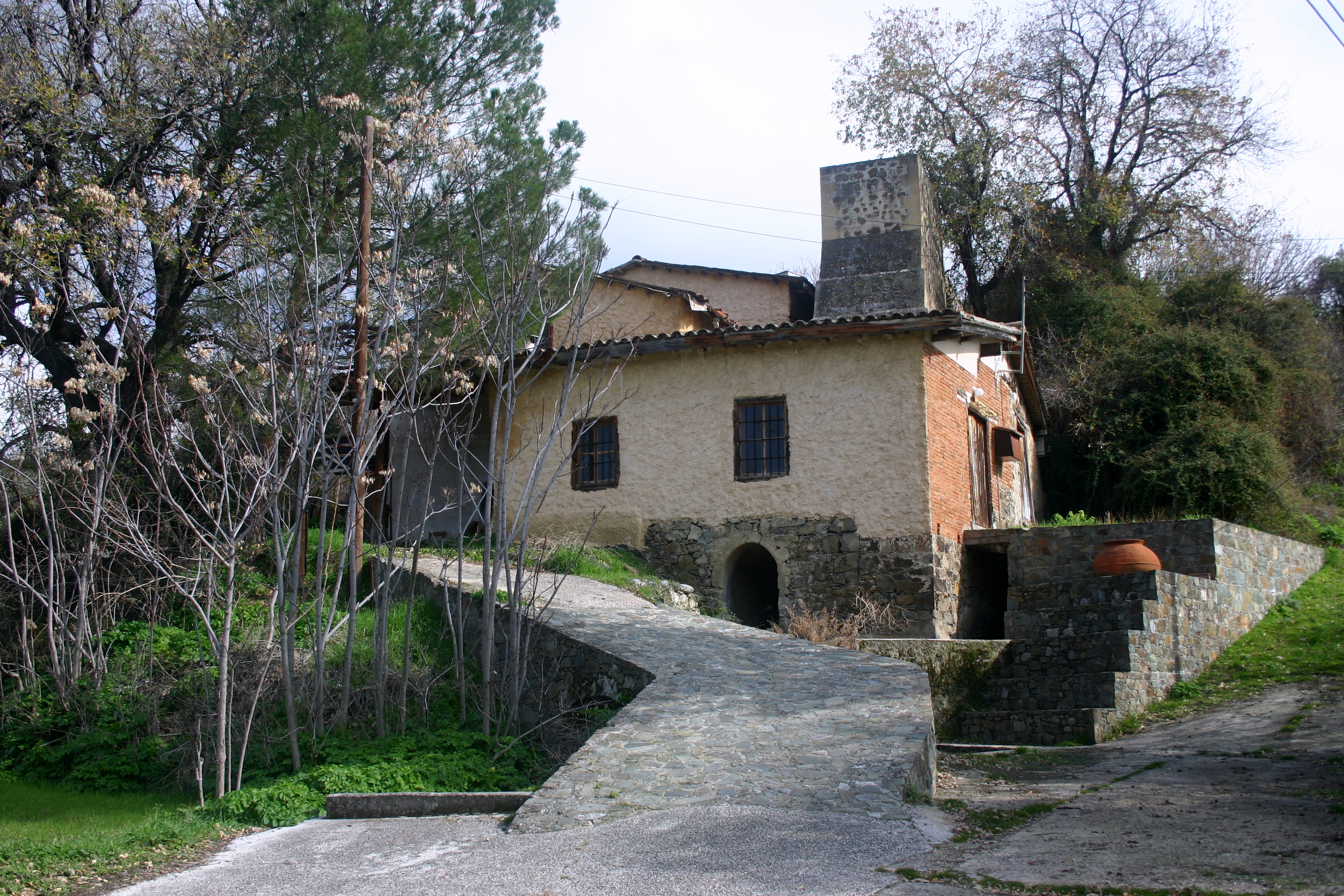 Image Description