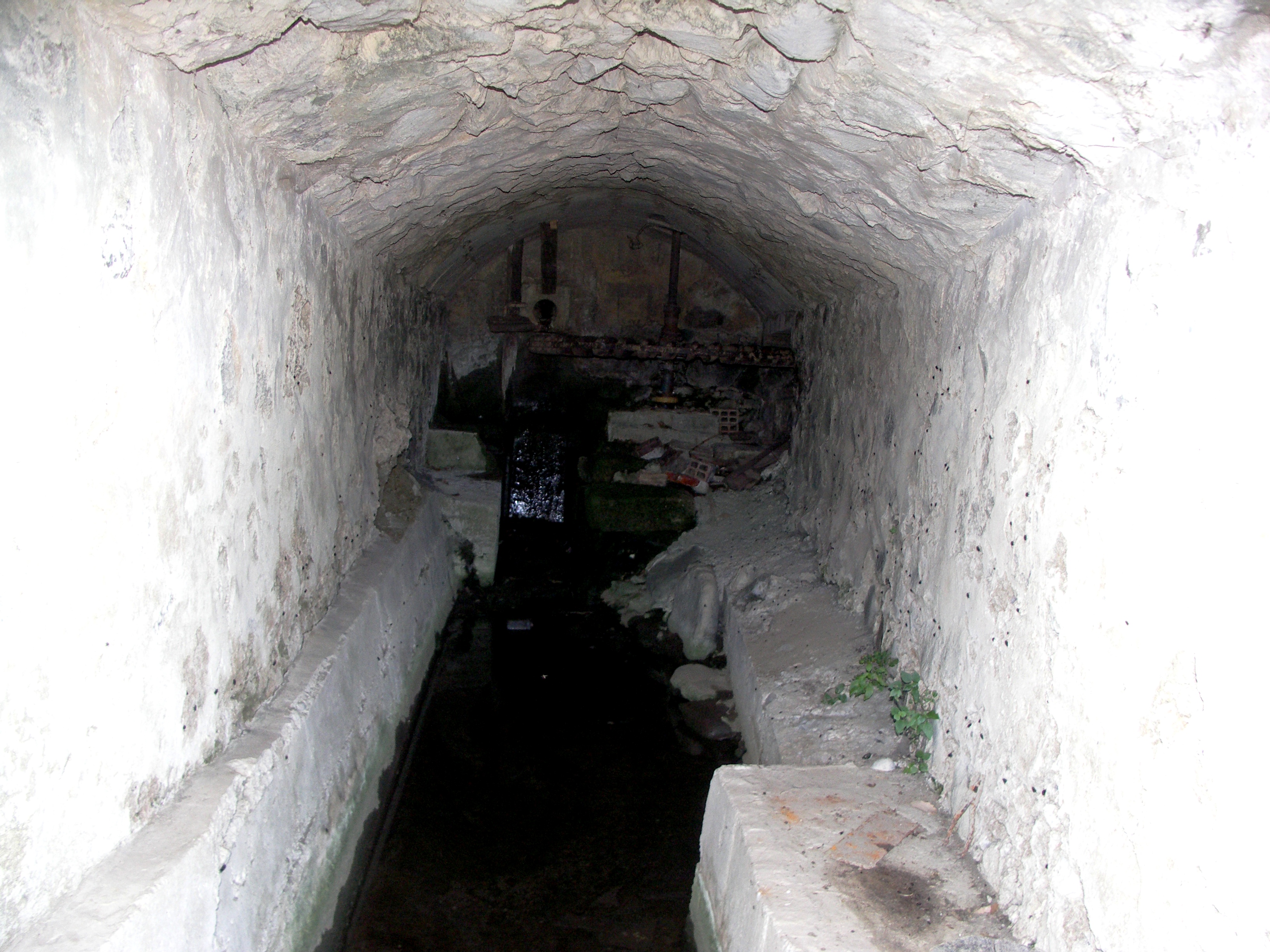 Image Description