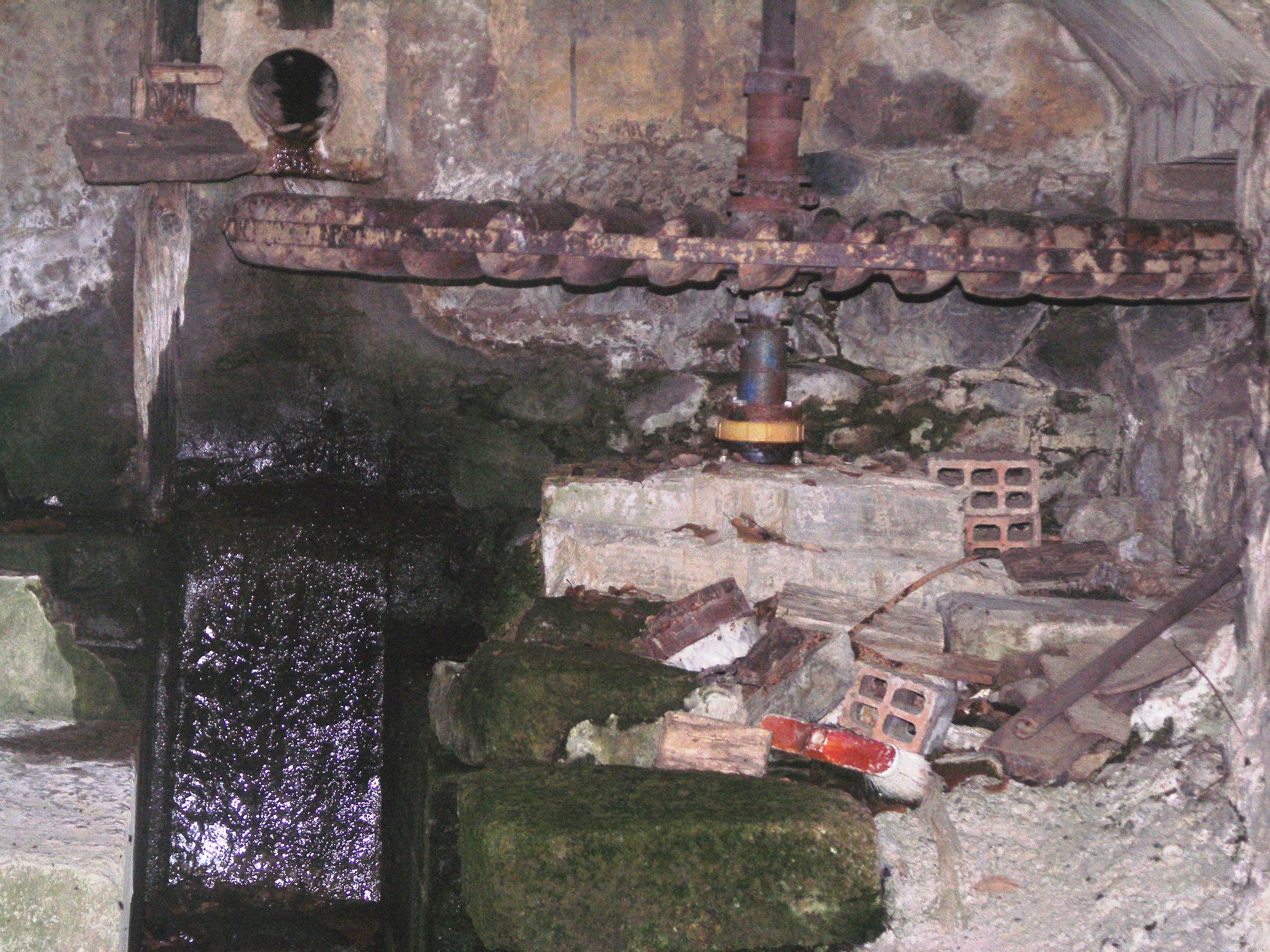 Image Description