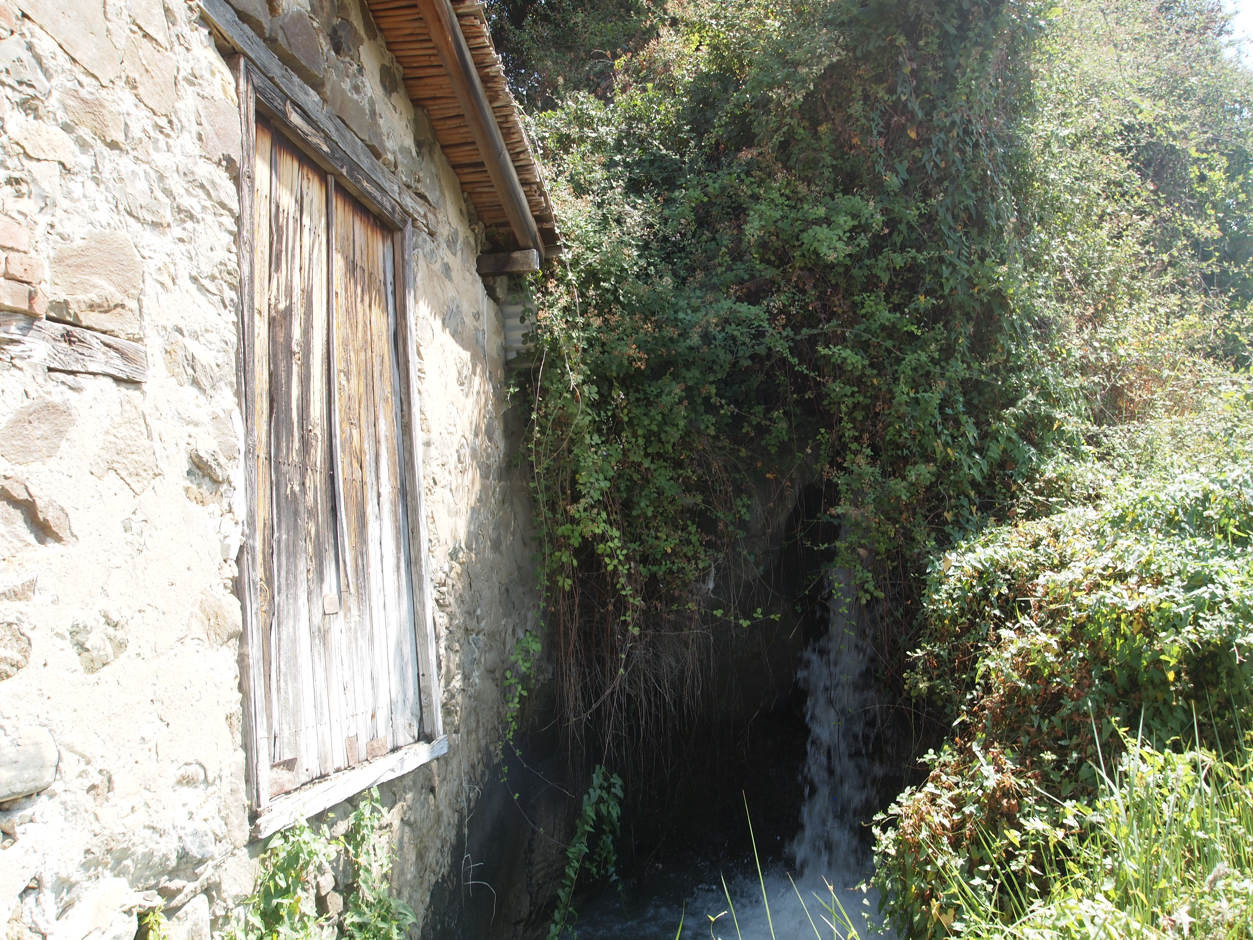 Image Description