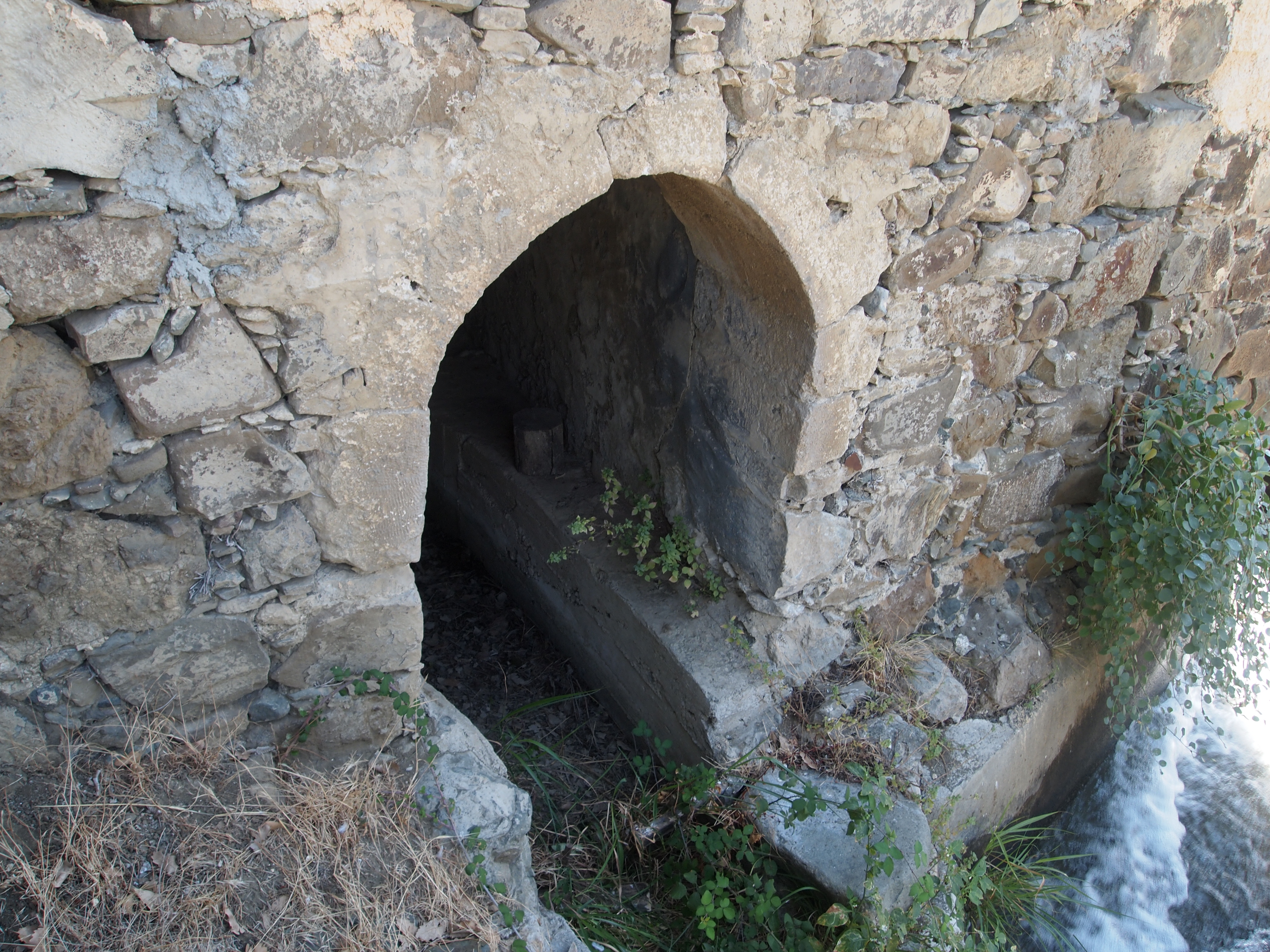 Image Description
