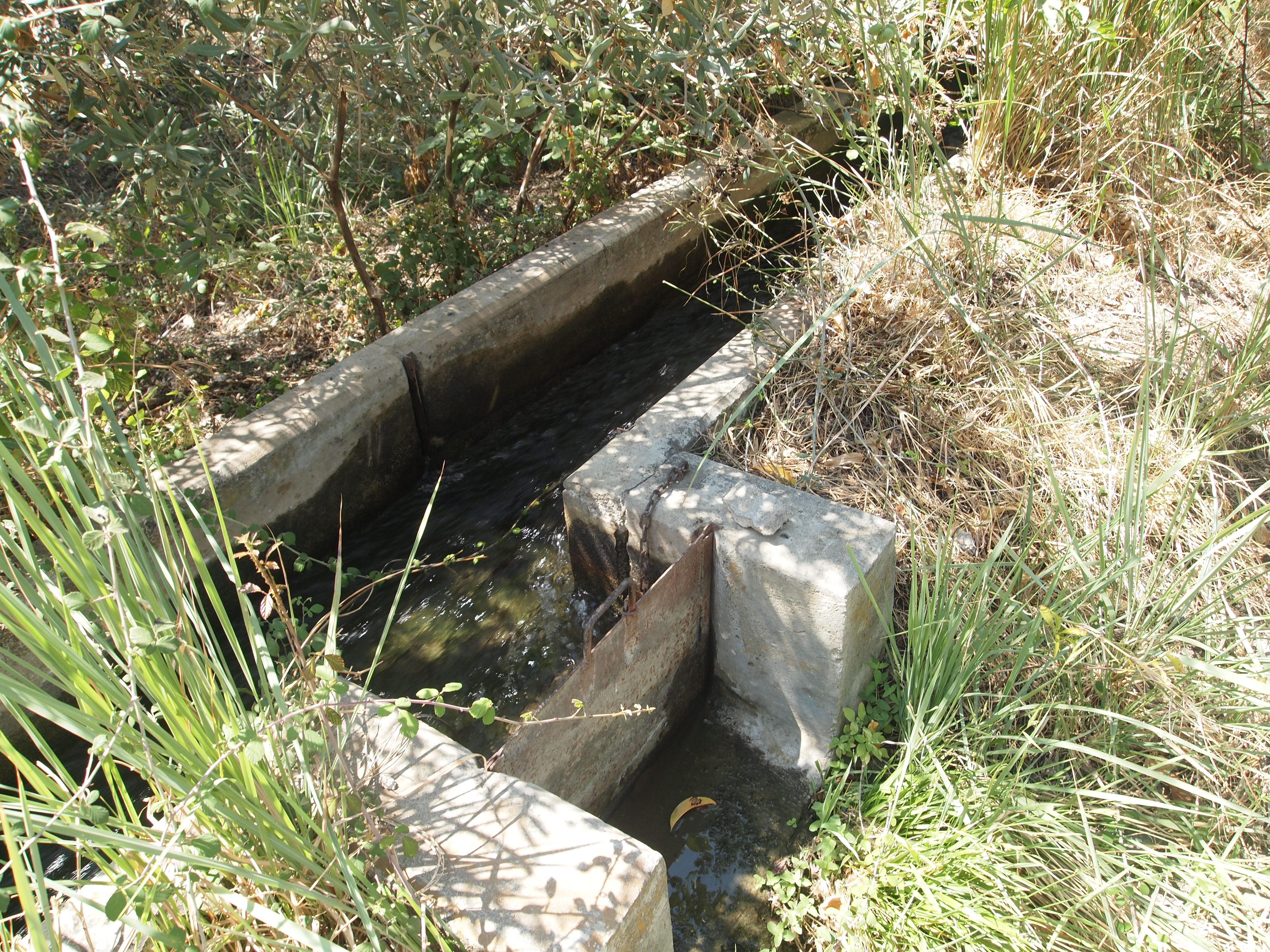Image Description