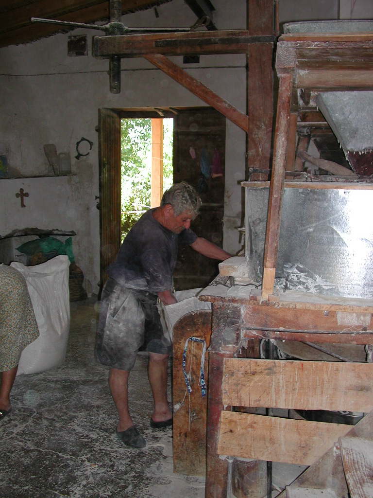 Image Description