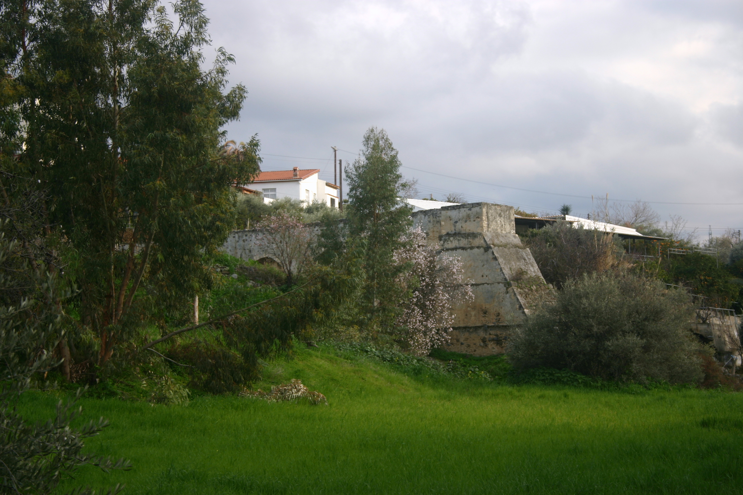 Image Description