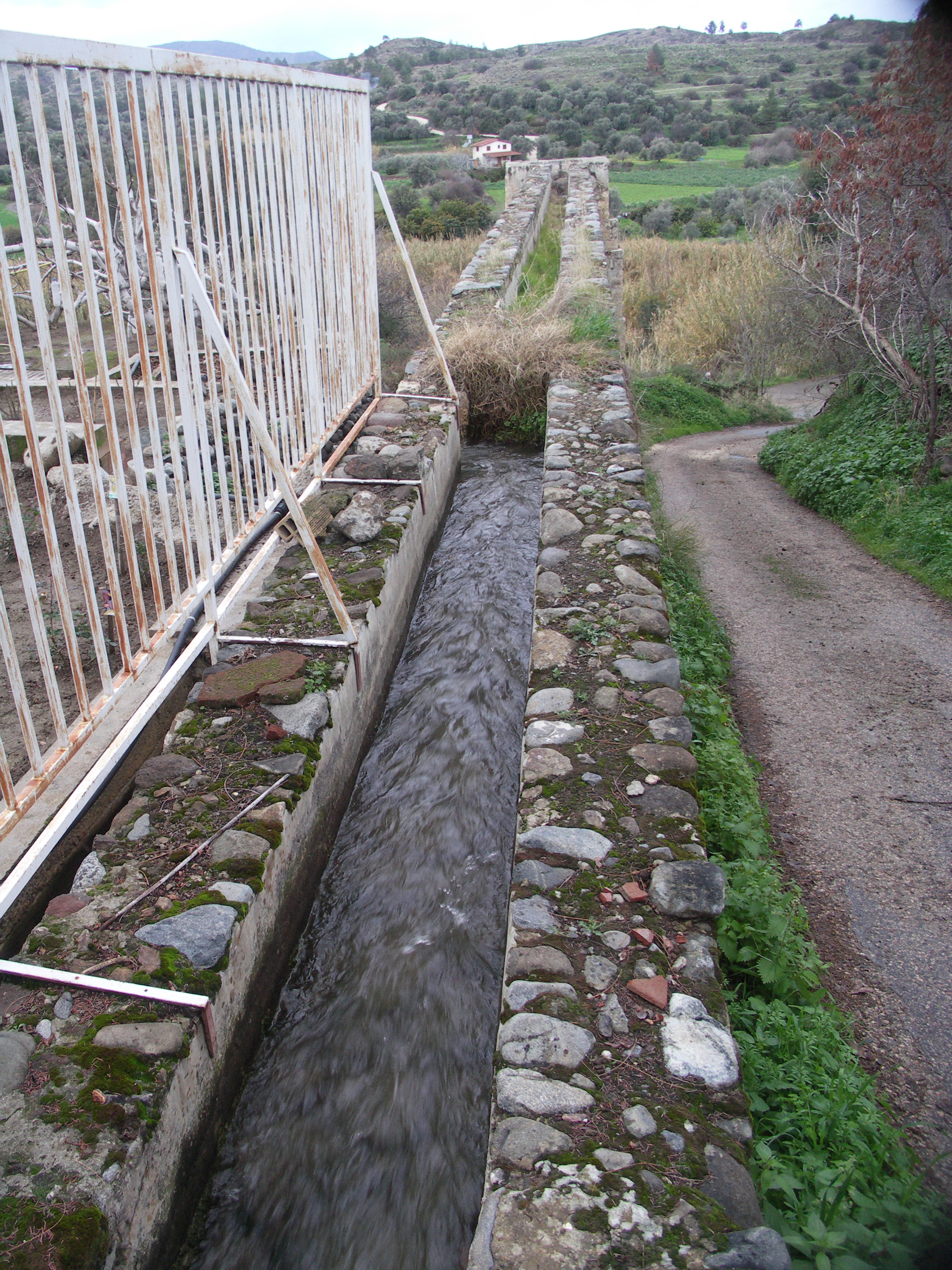 Image Description