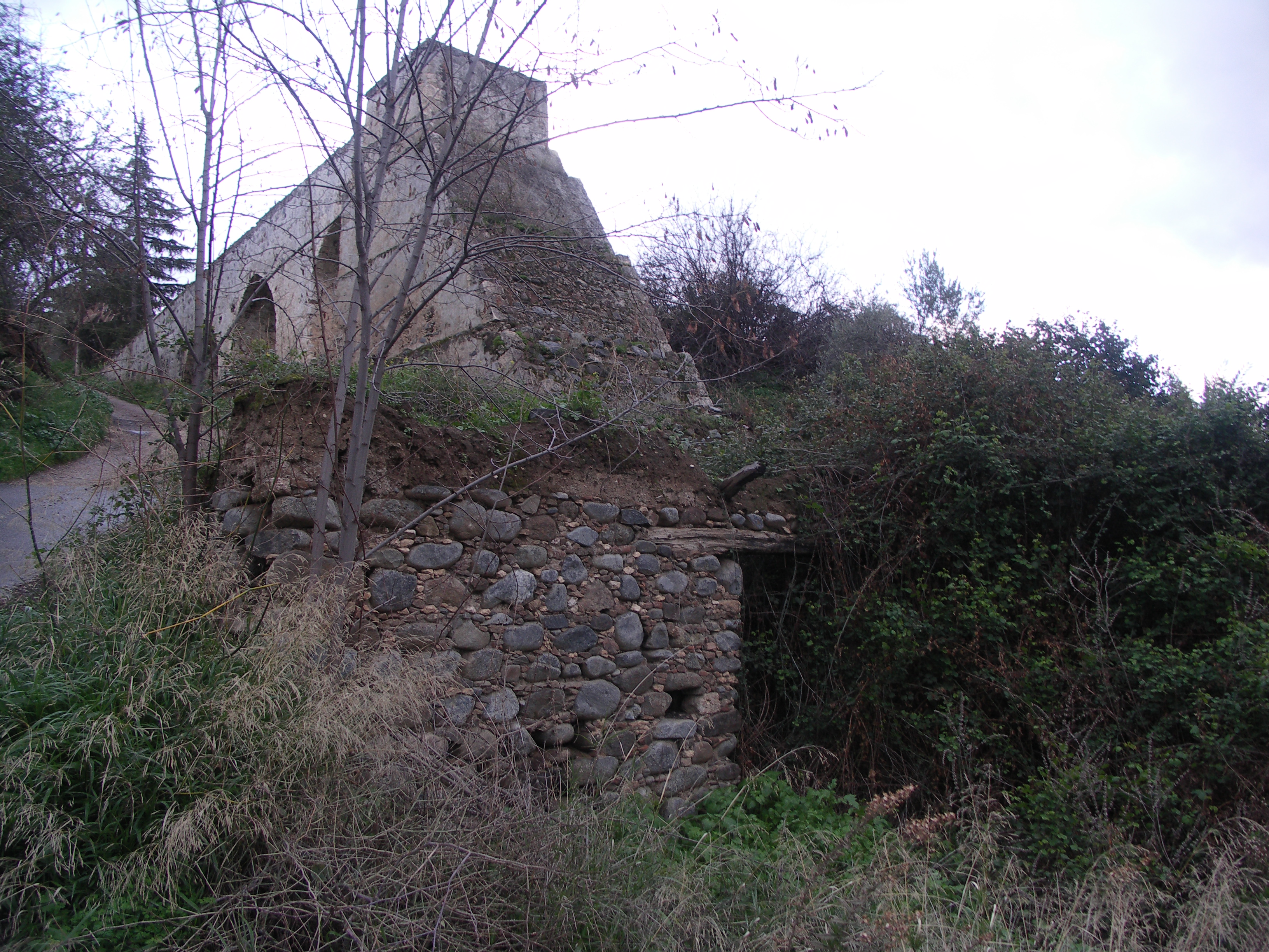 Image Description
