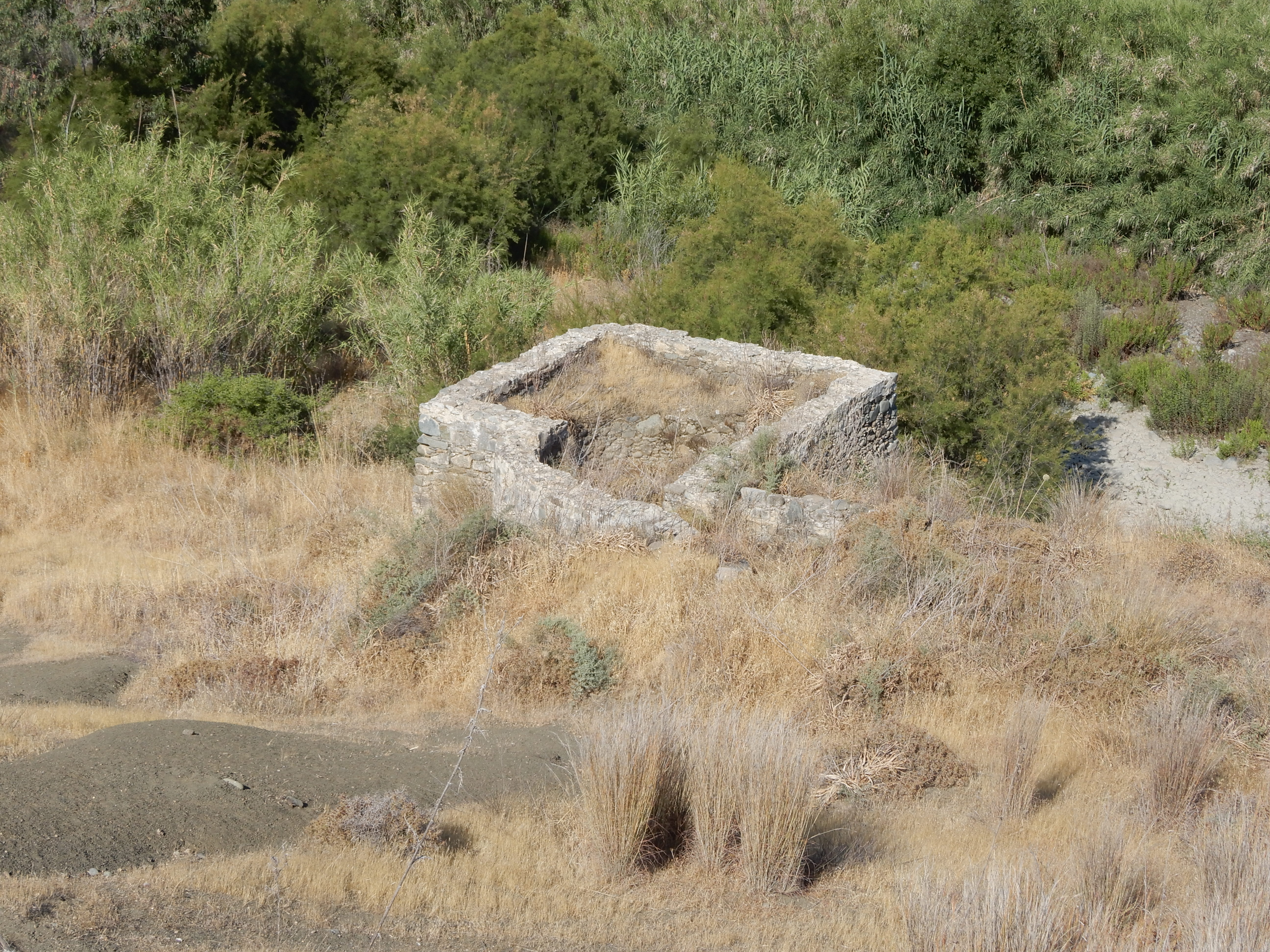 Image Description