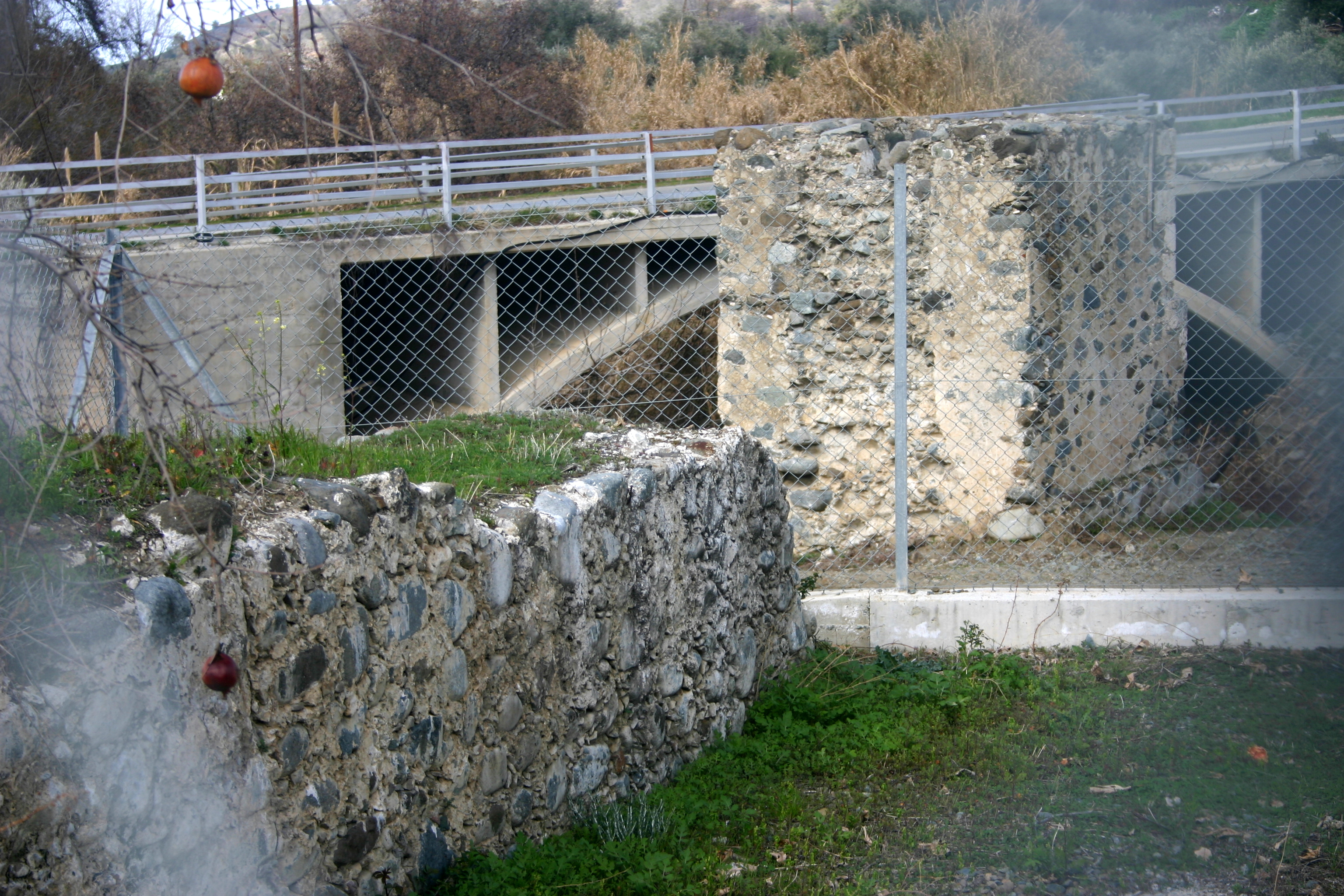 Image Description