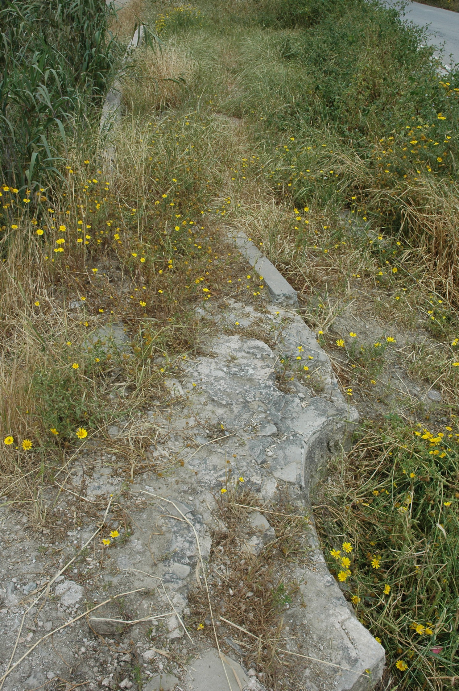 Image Description