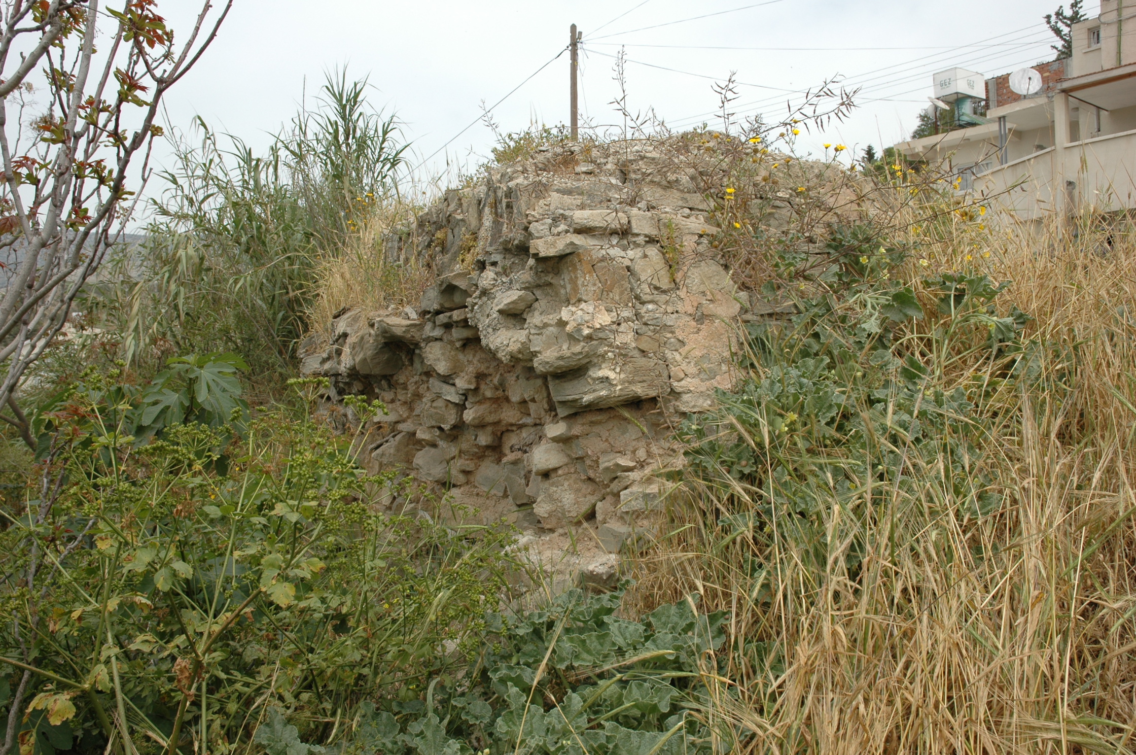 Image Description