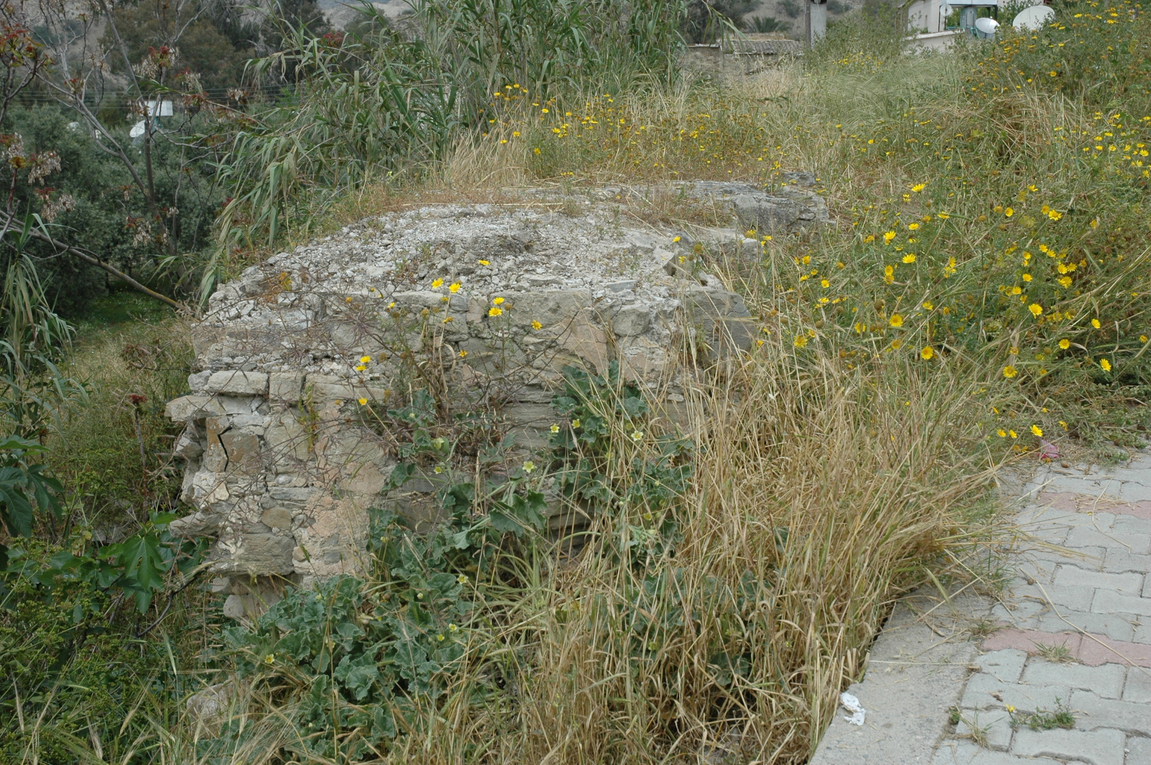 Image Description