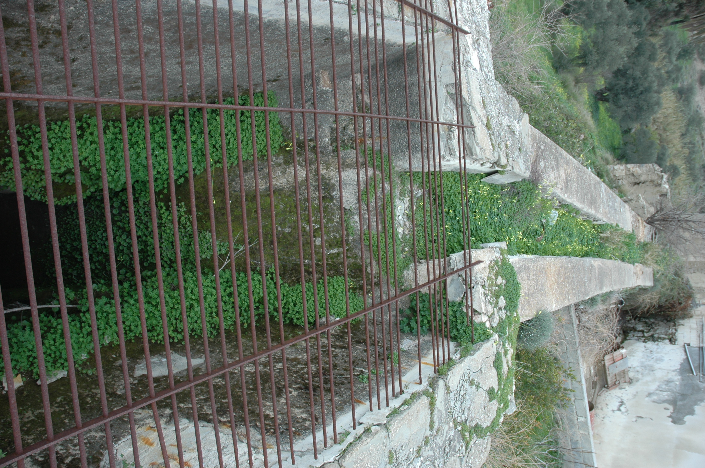 Image Description