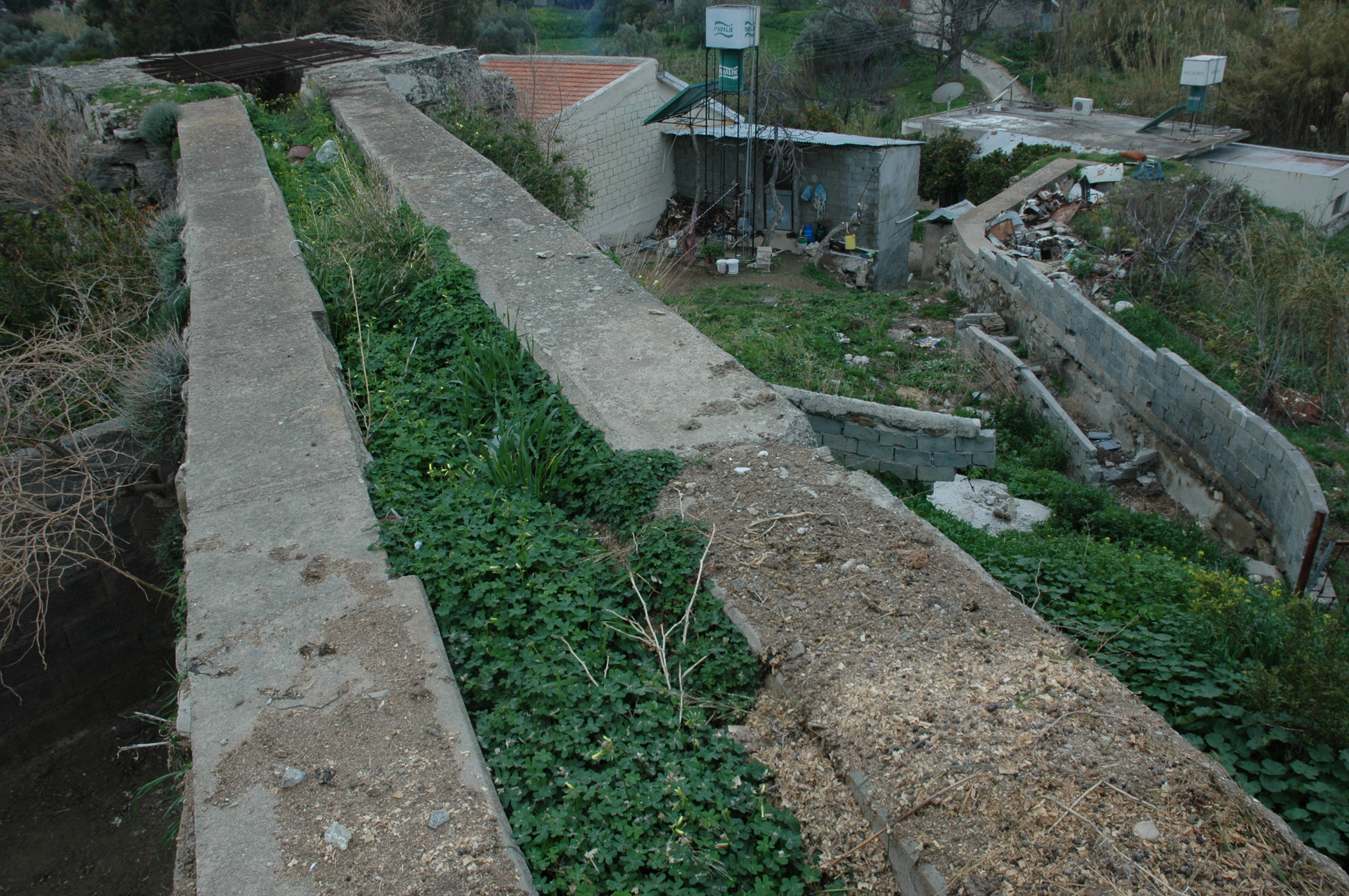 Image Description
