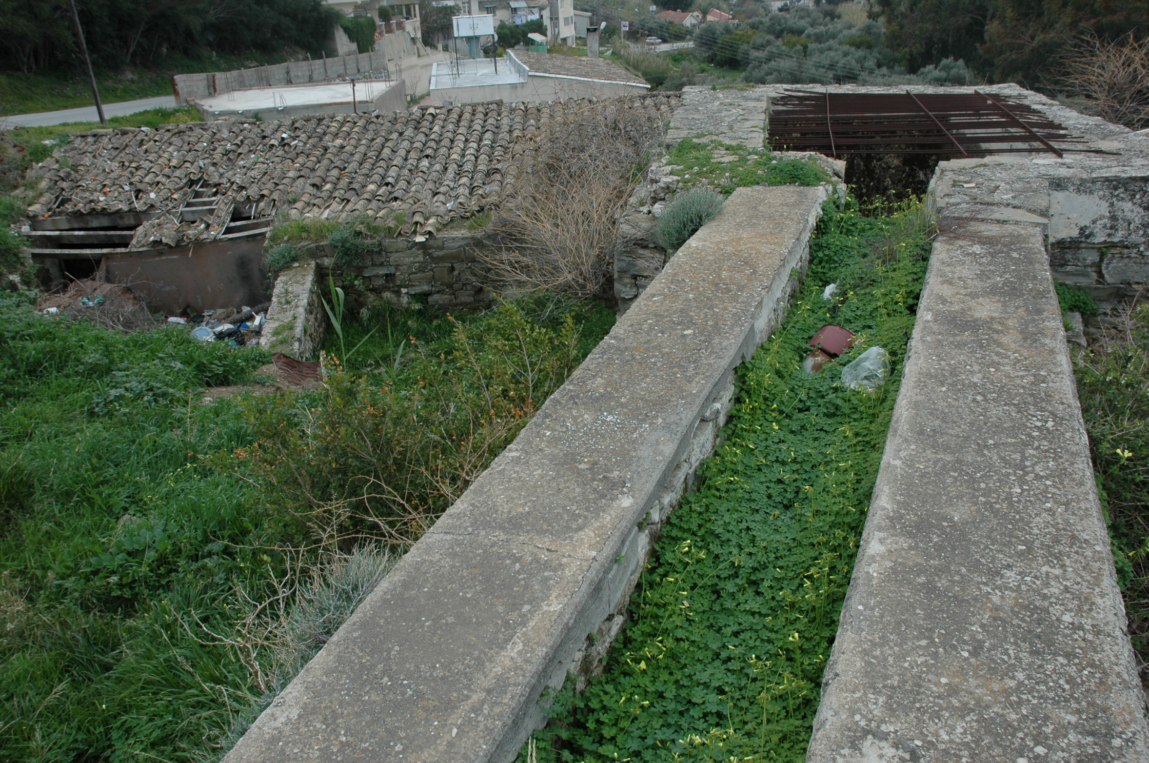 Image Description