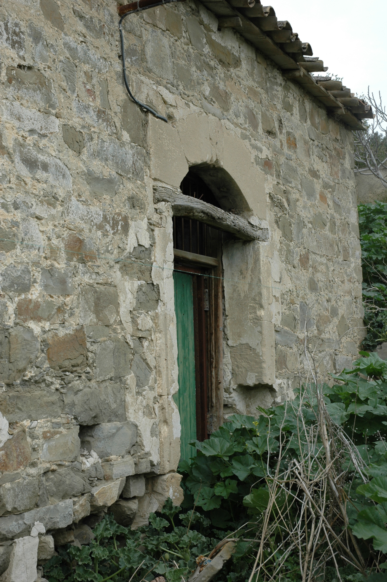 Image Description